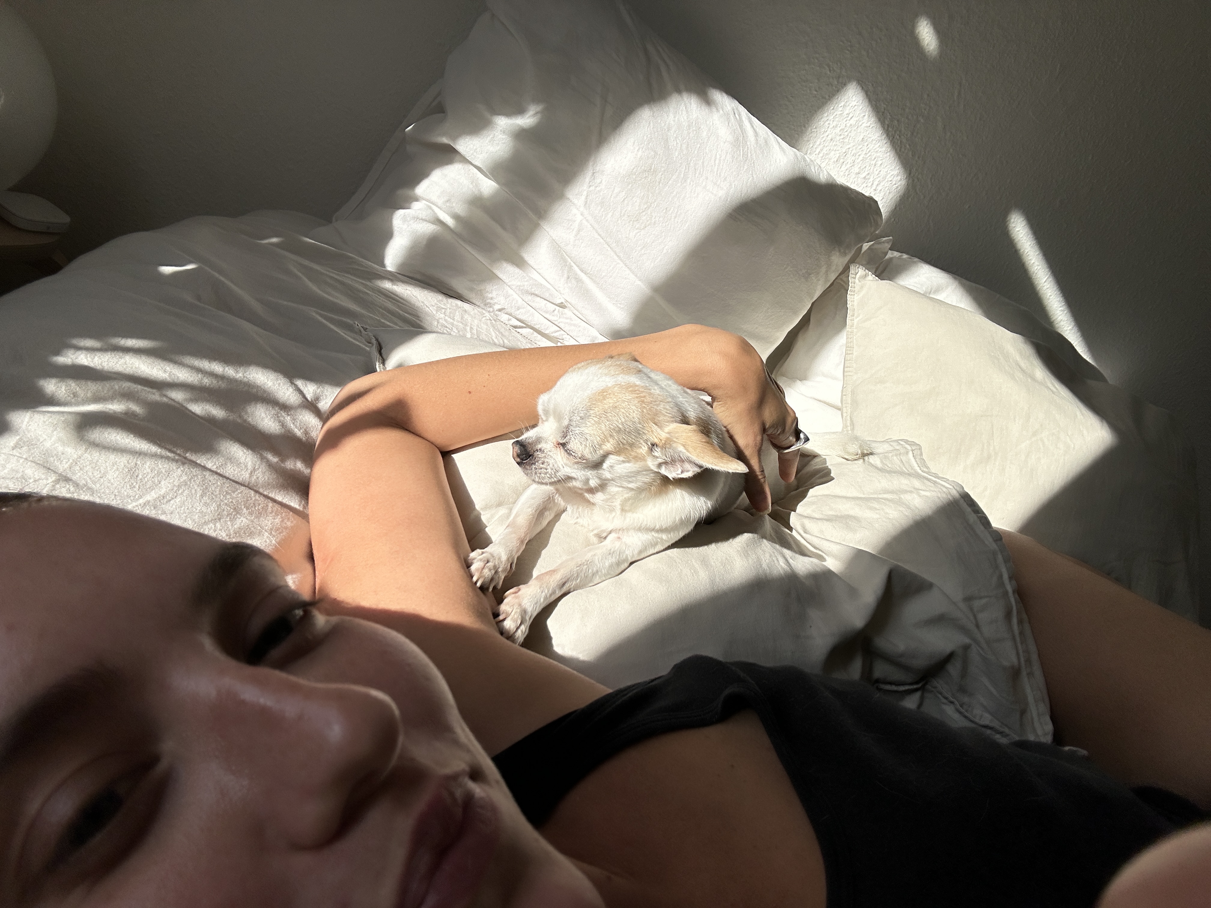 image-7