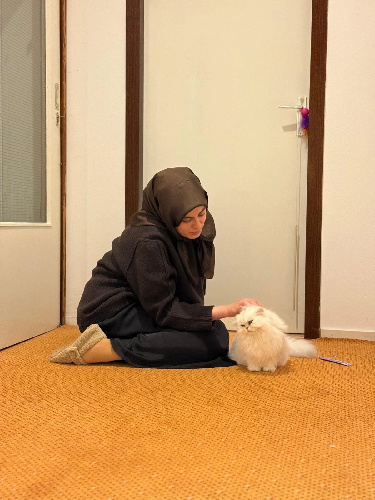 image-5