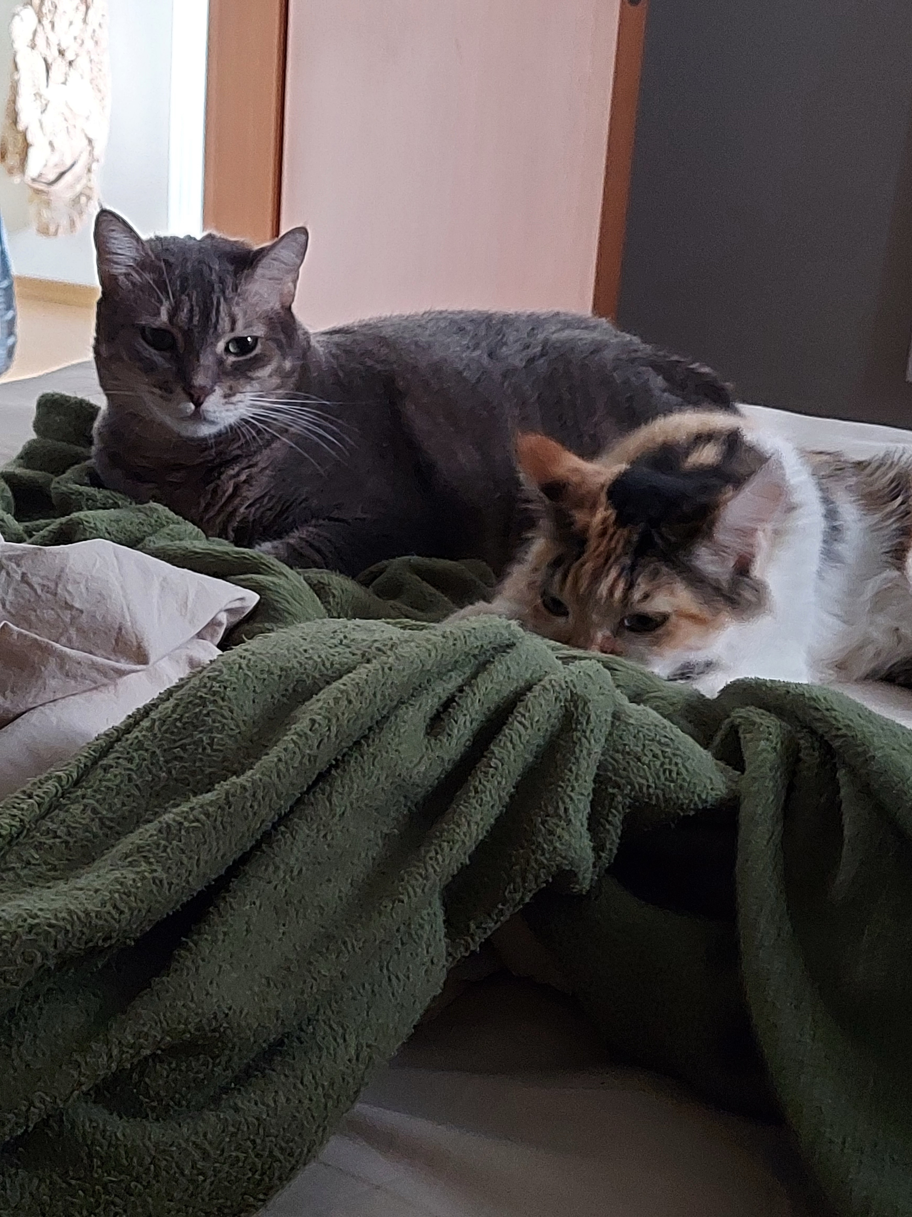 image-14