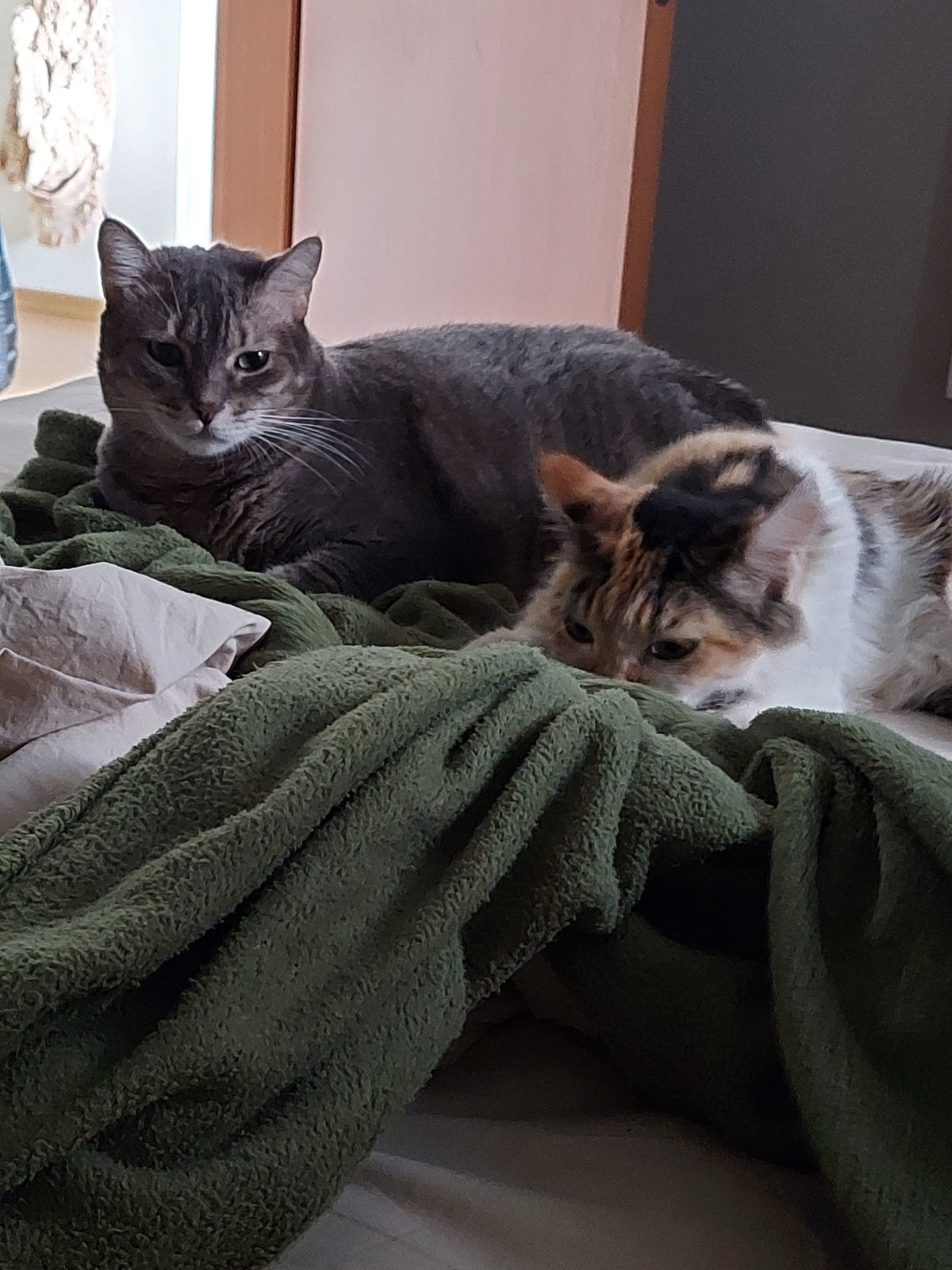 image-14