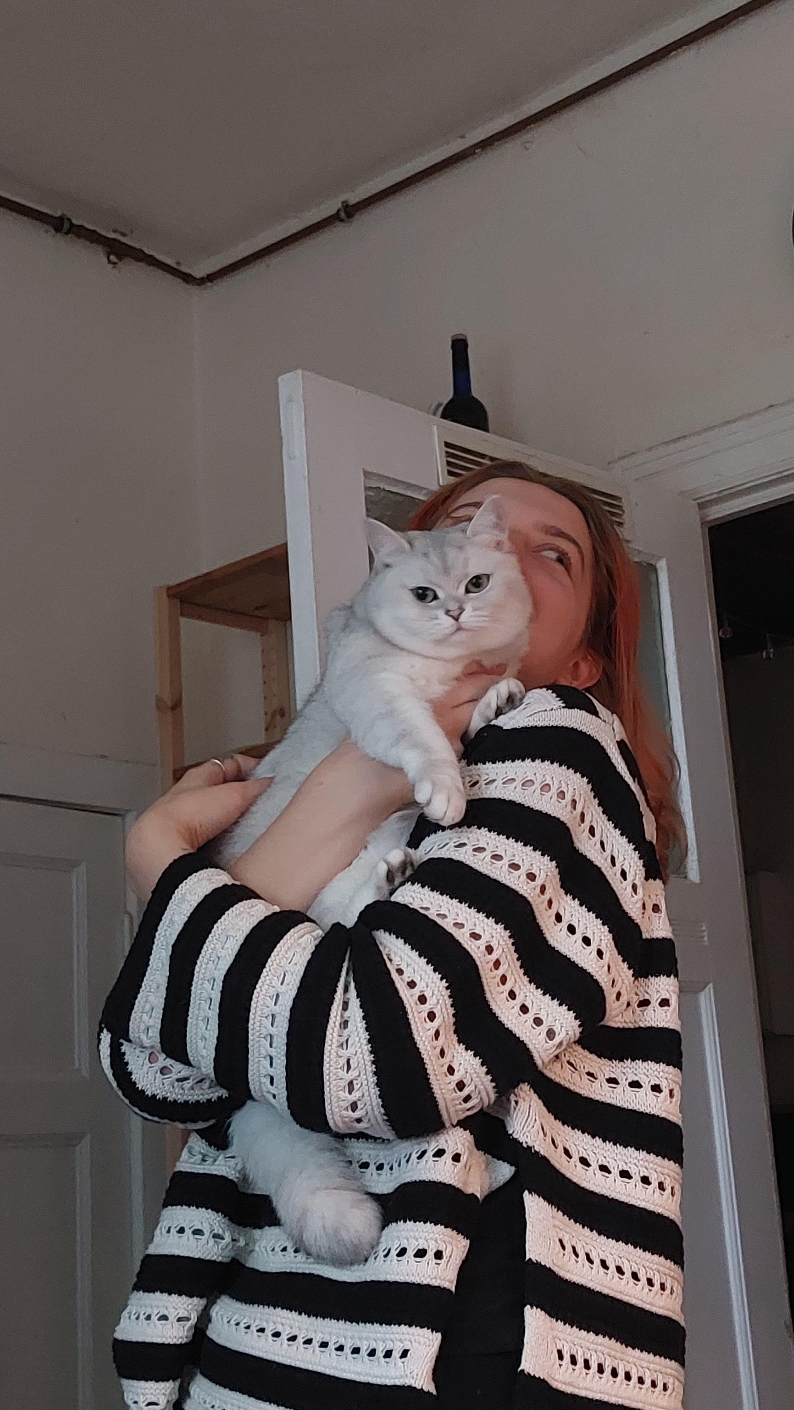 image-8
