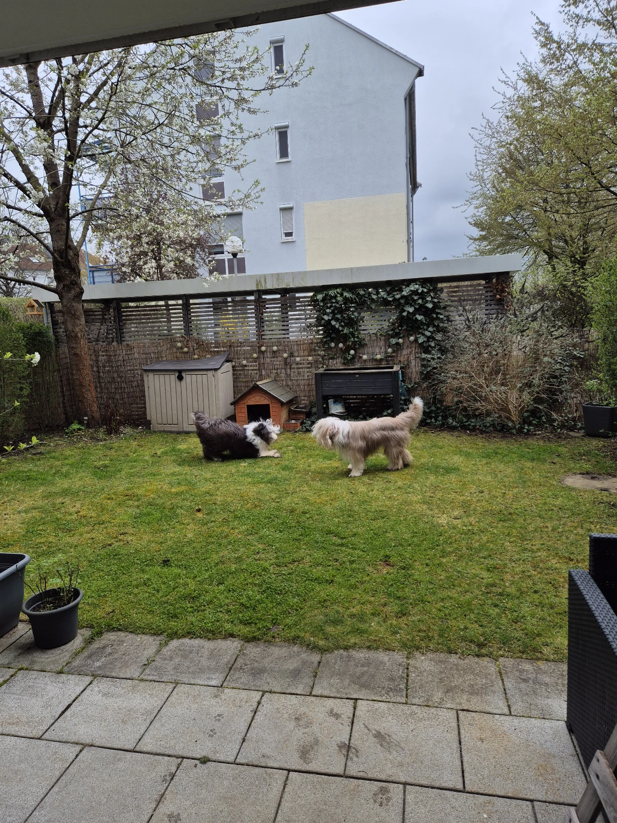 image-19