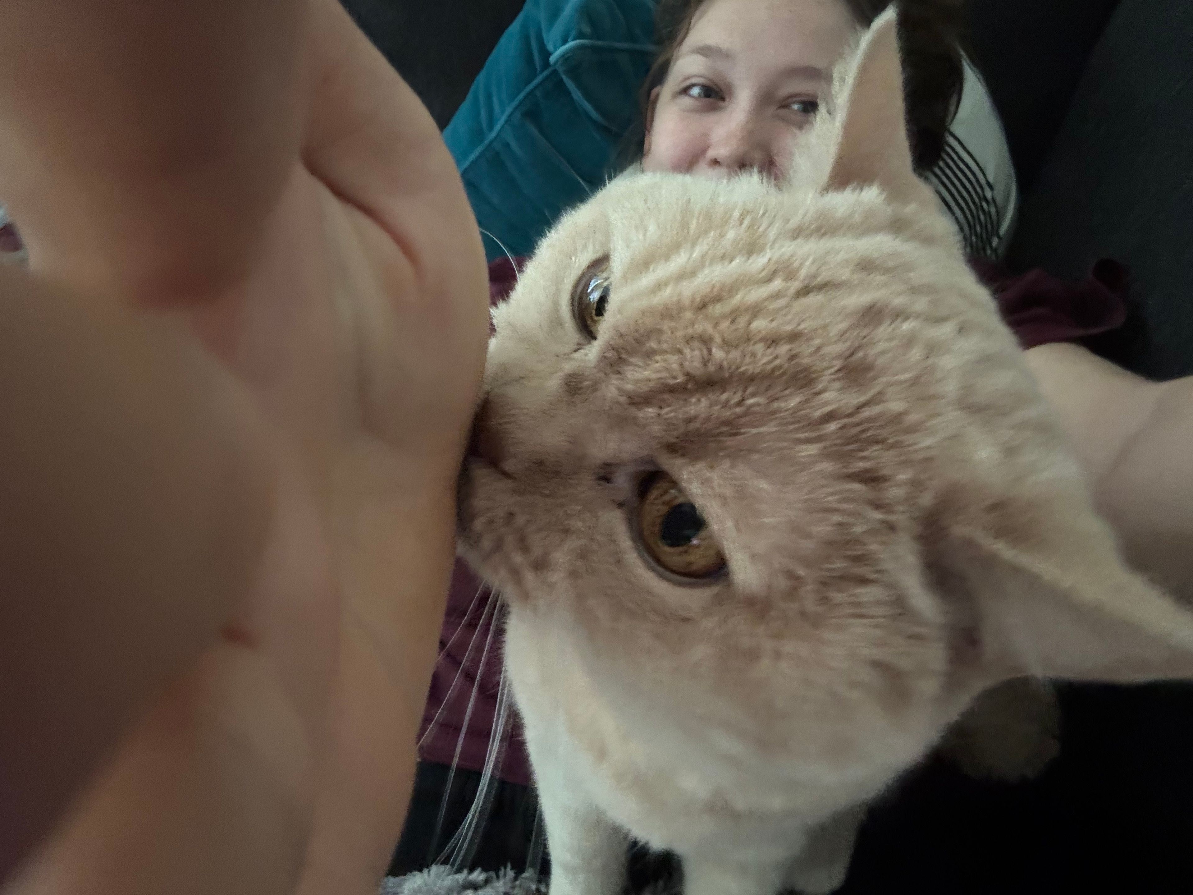 image-4
