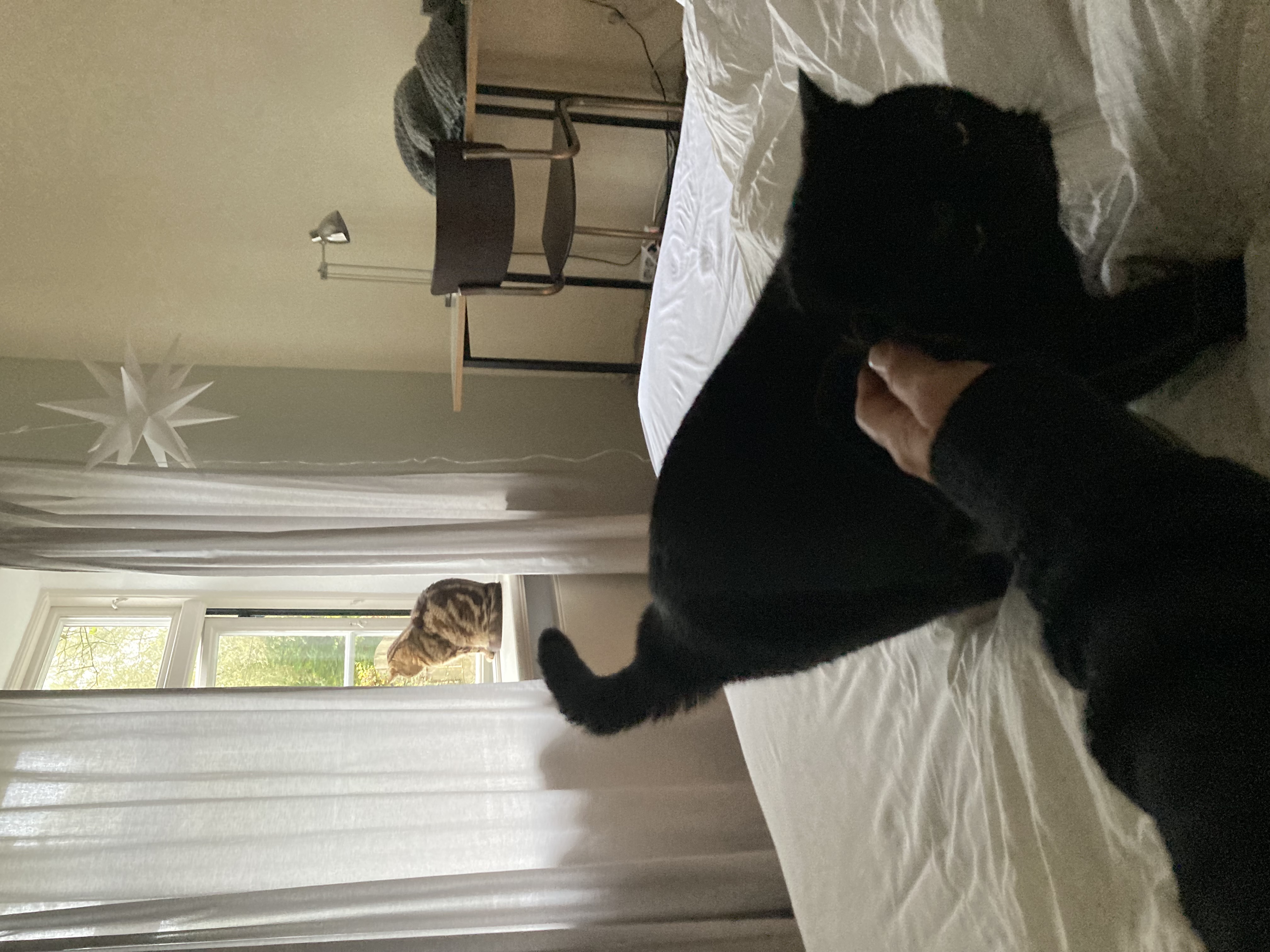 image-11