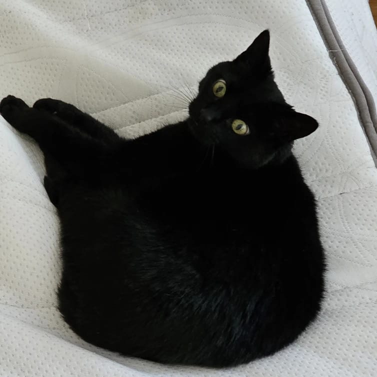 Loki