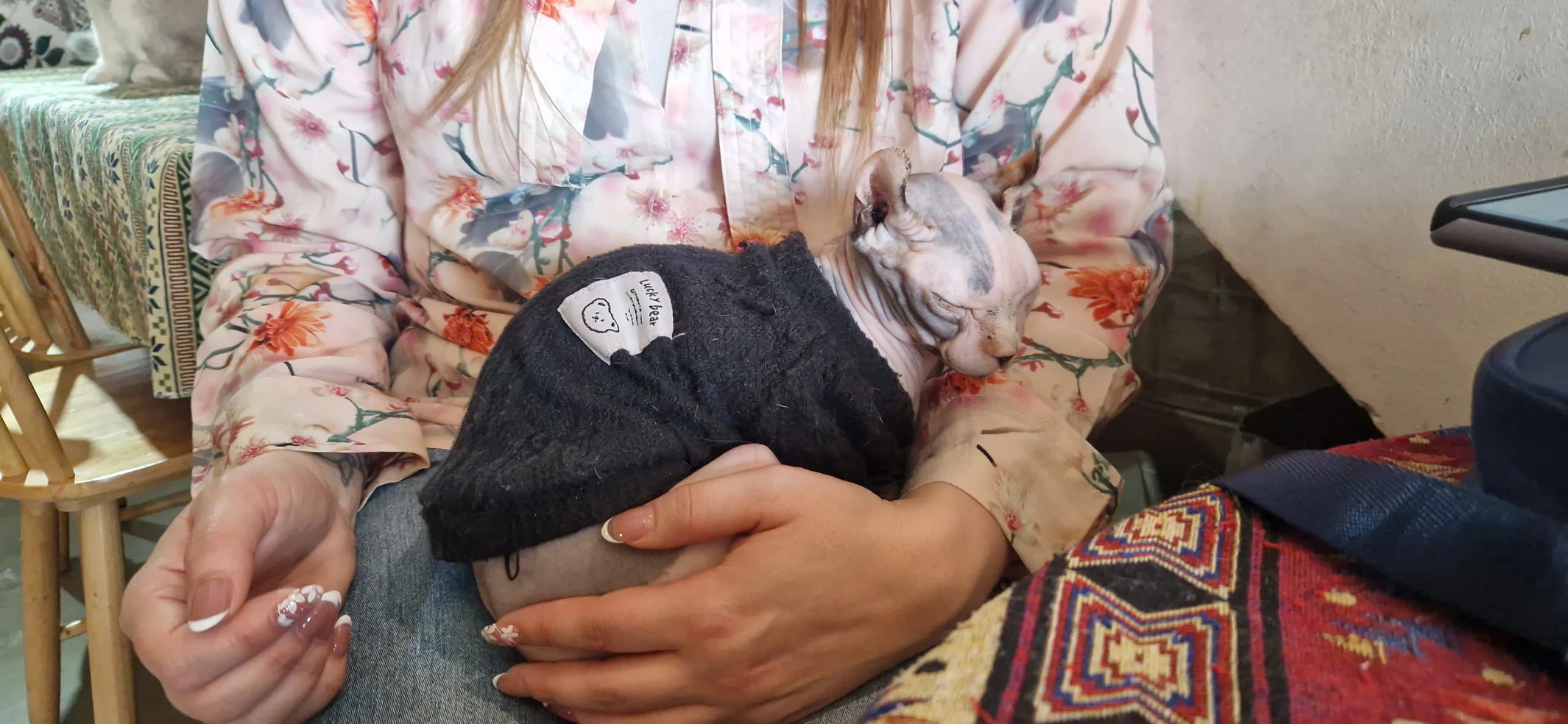 image-8