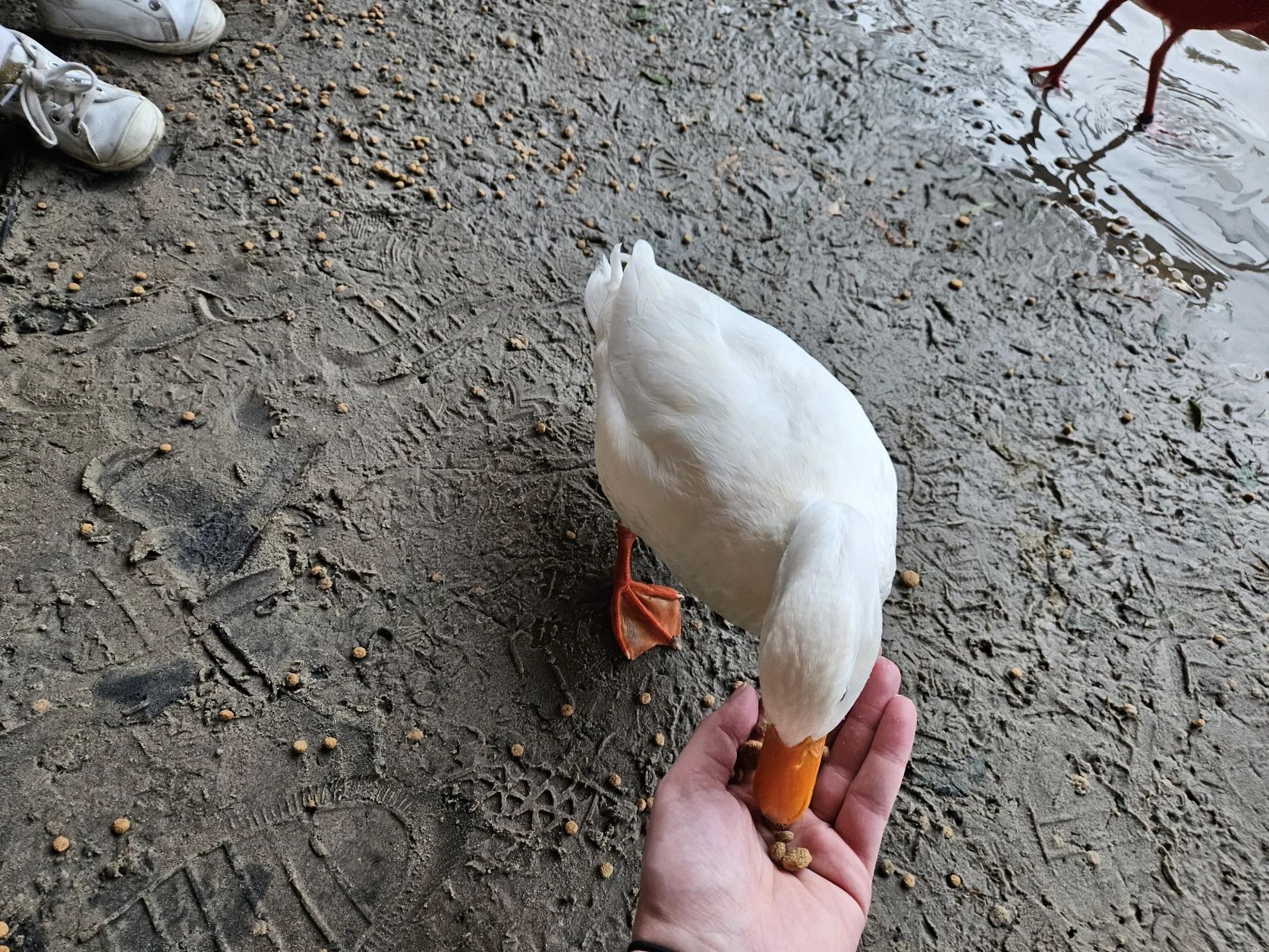 image-10