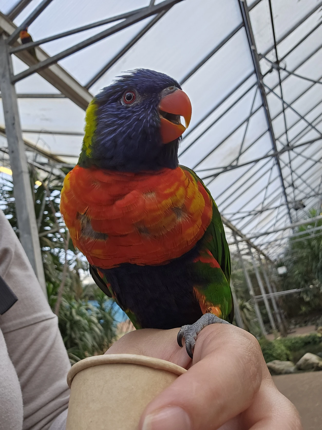 image-12