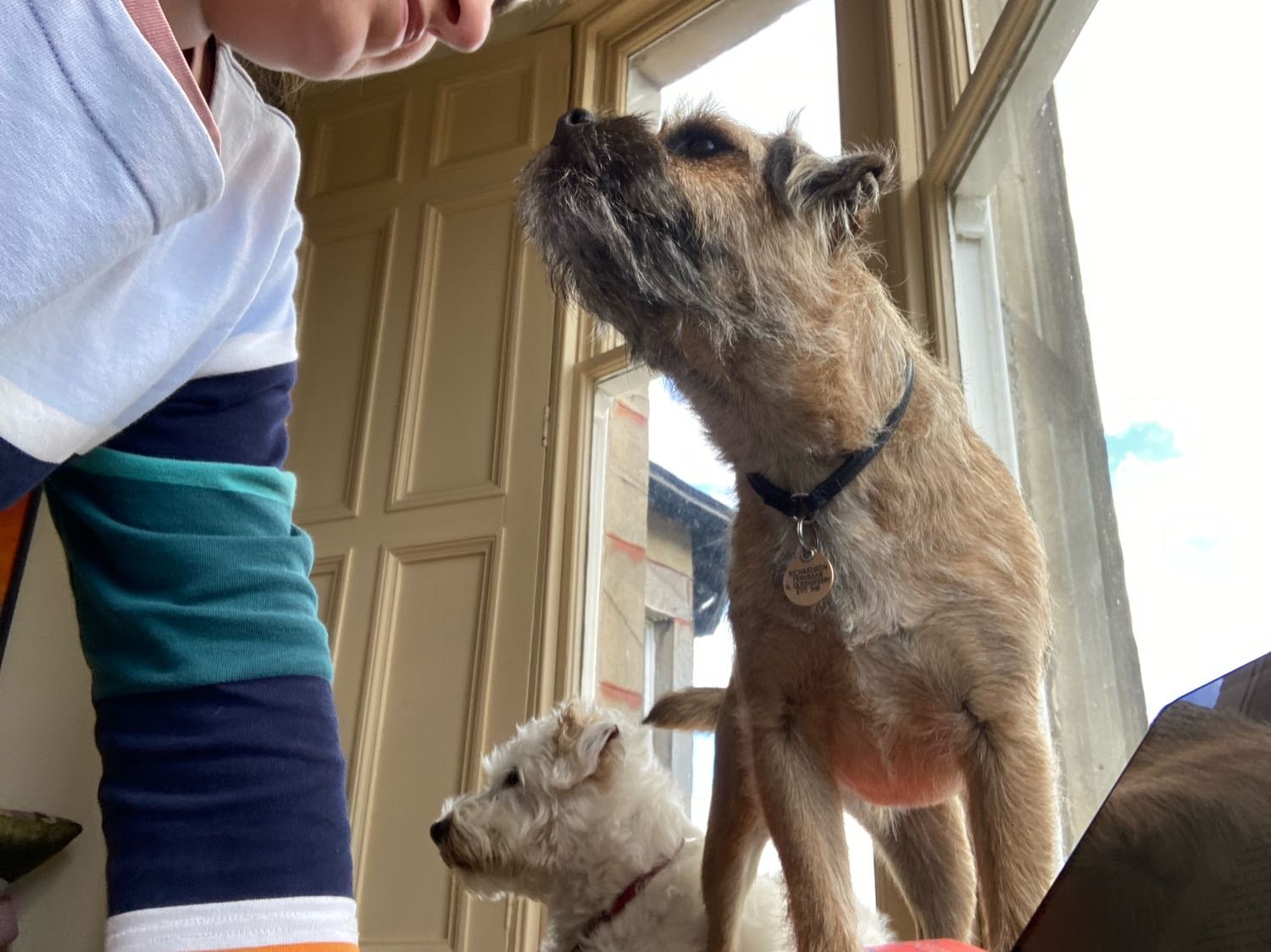 image-2