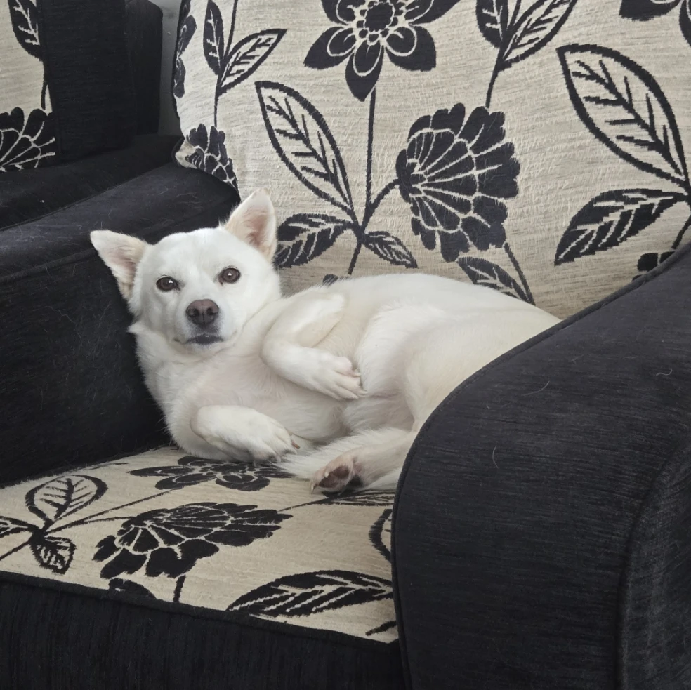 Bella