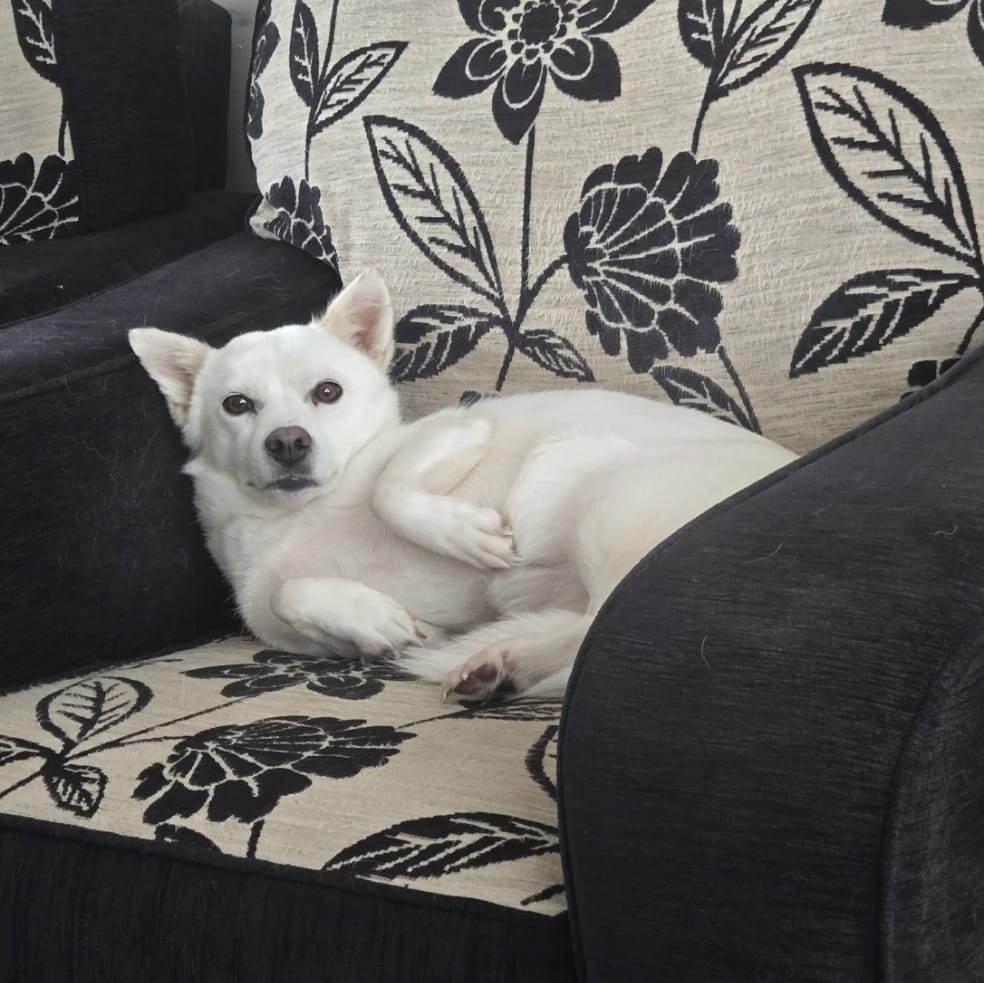 Bella