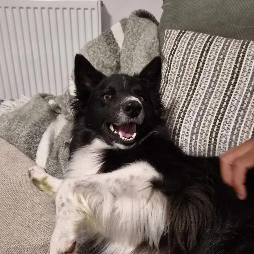 Loki