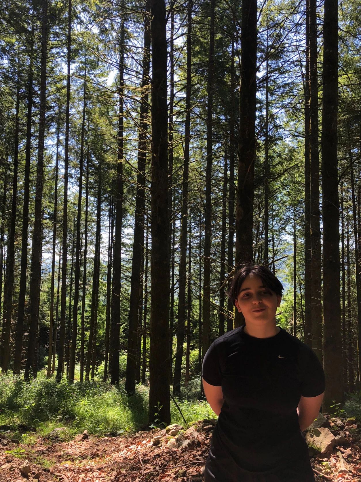 image-4