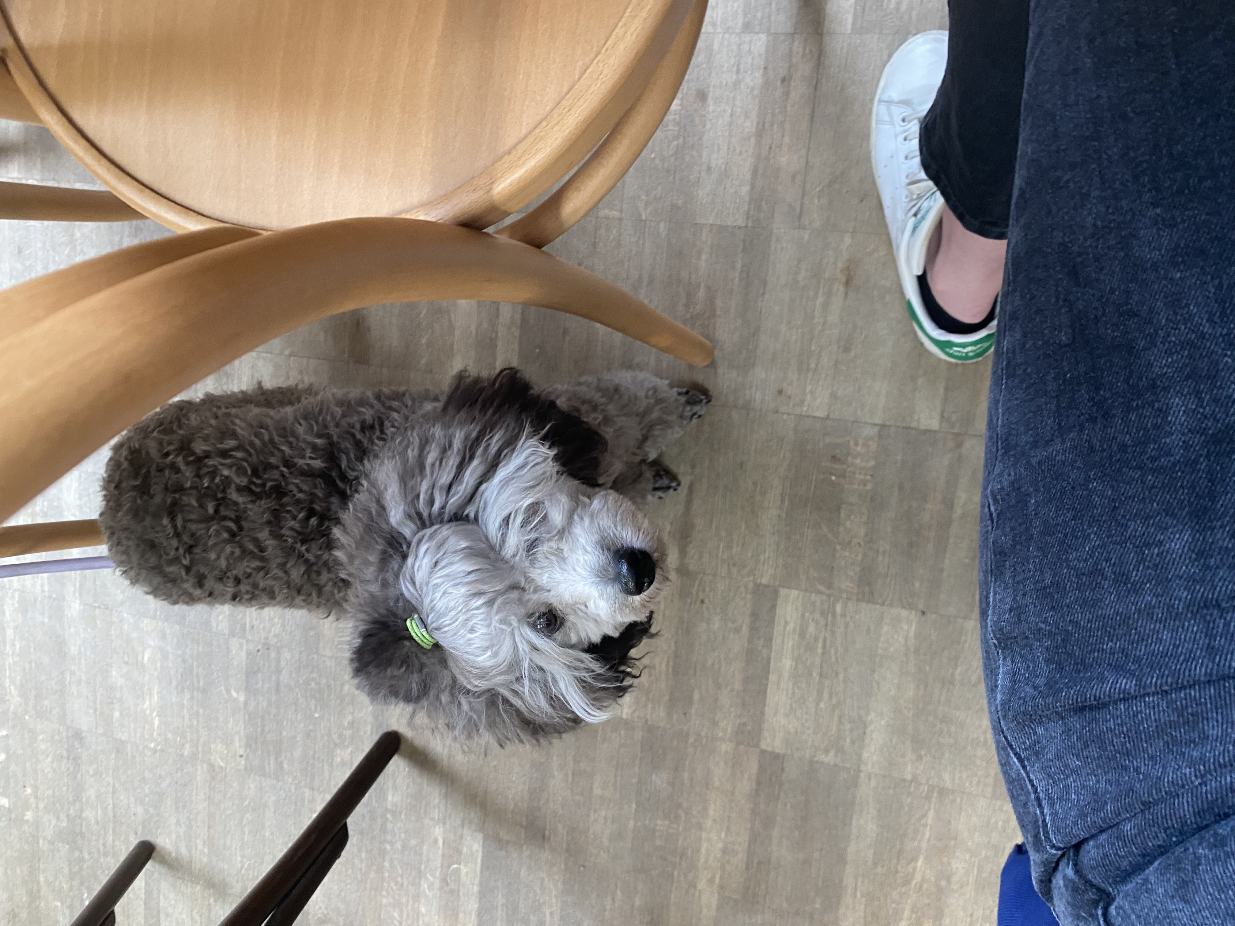 image-6