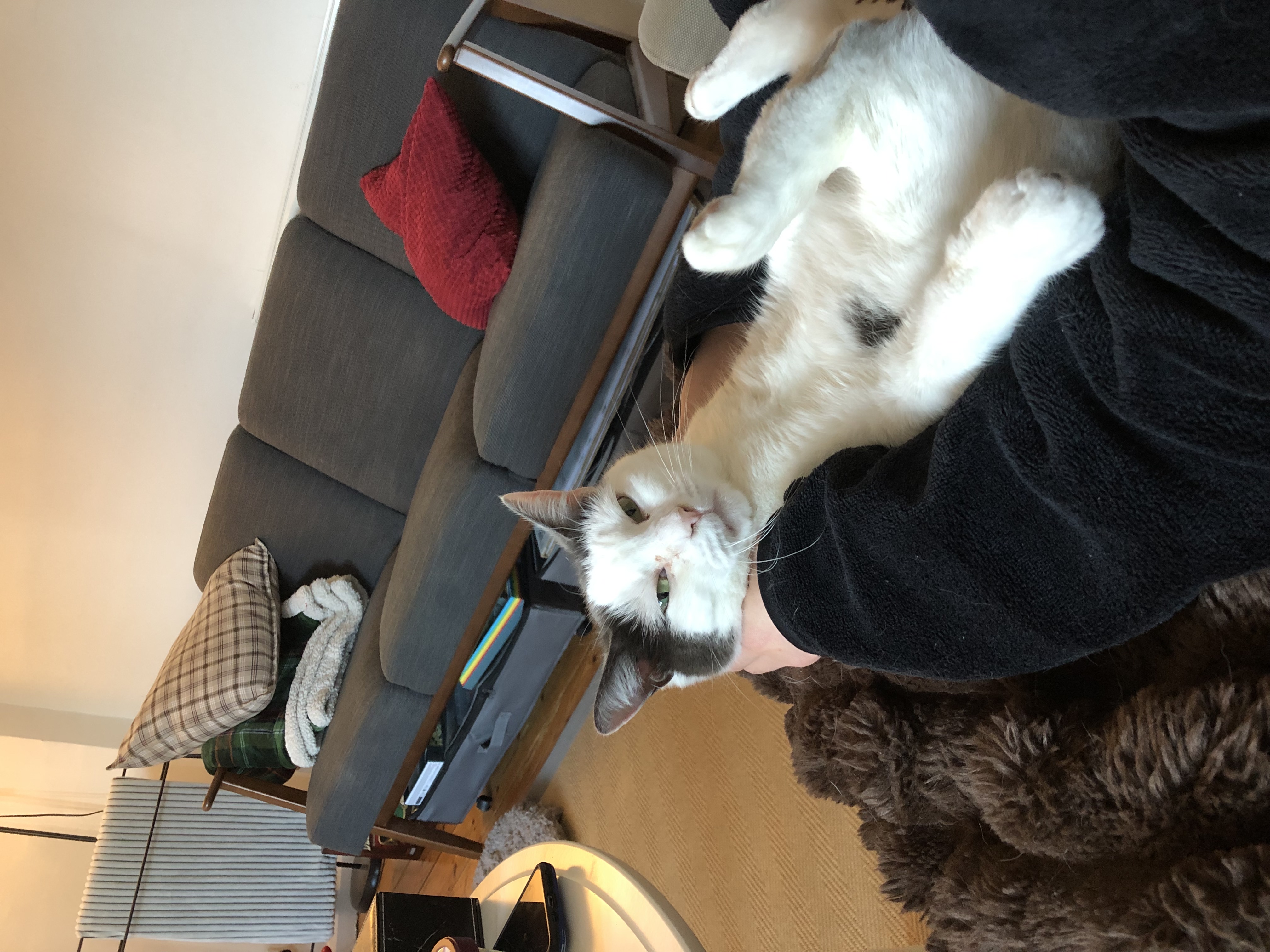 image-10