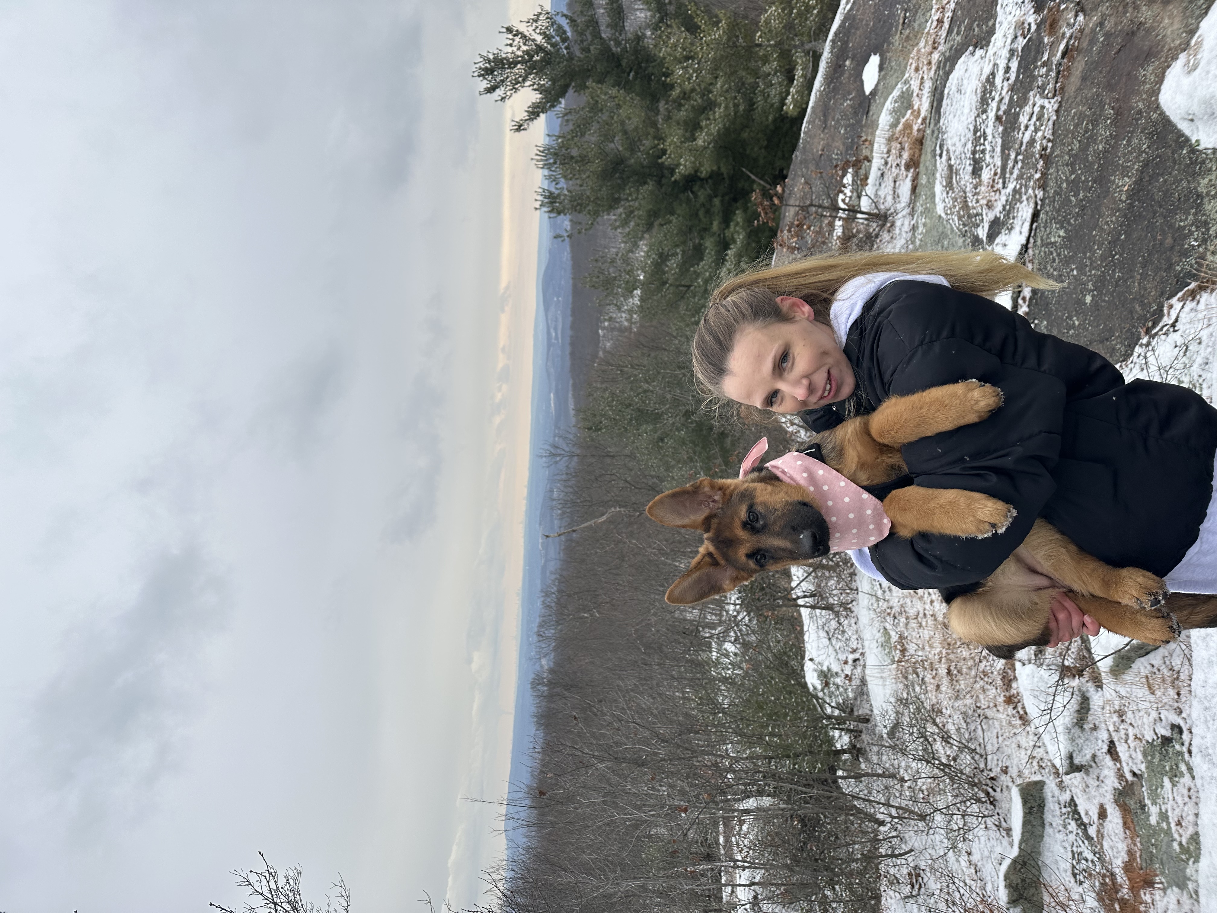 image-6