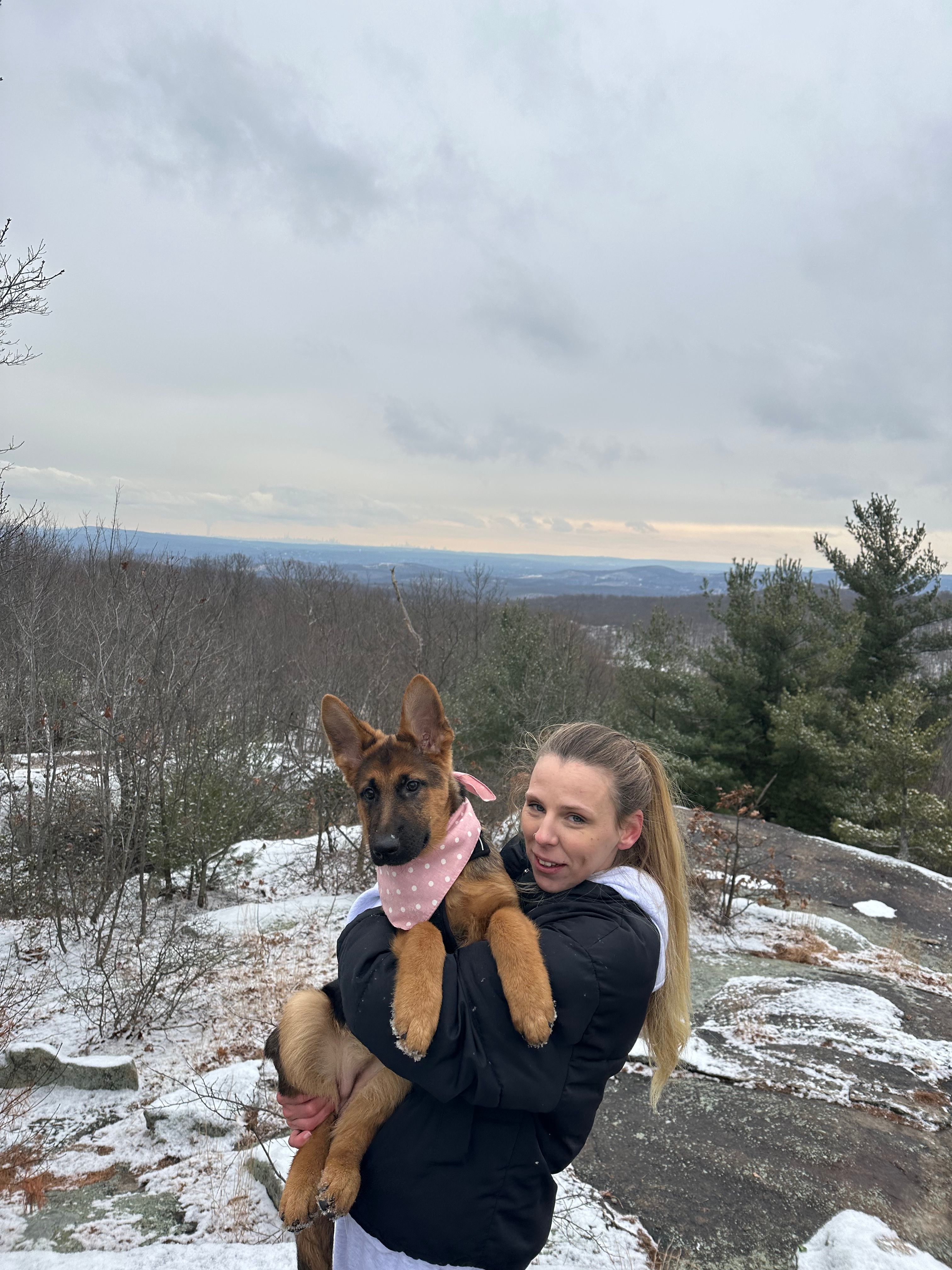 image-6