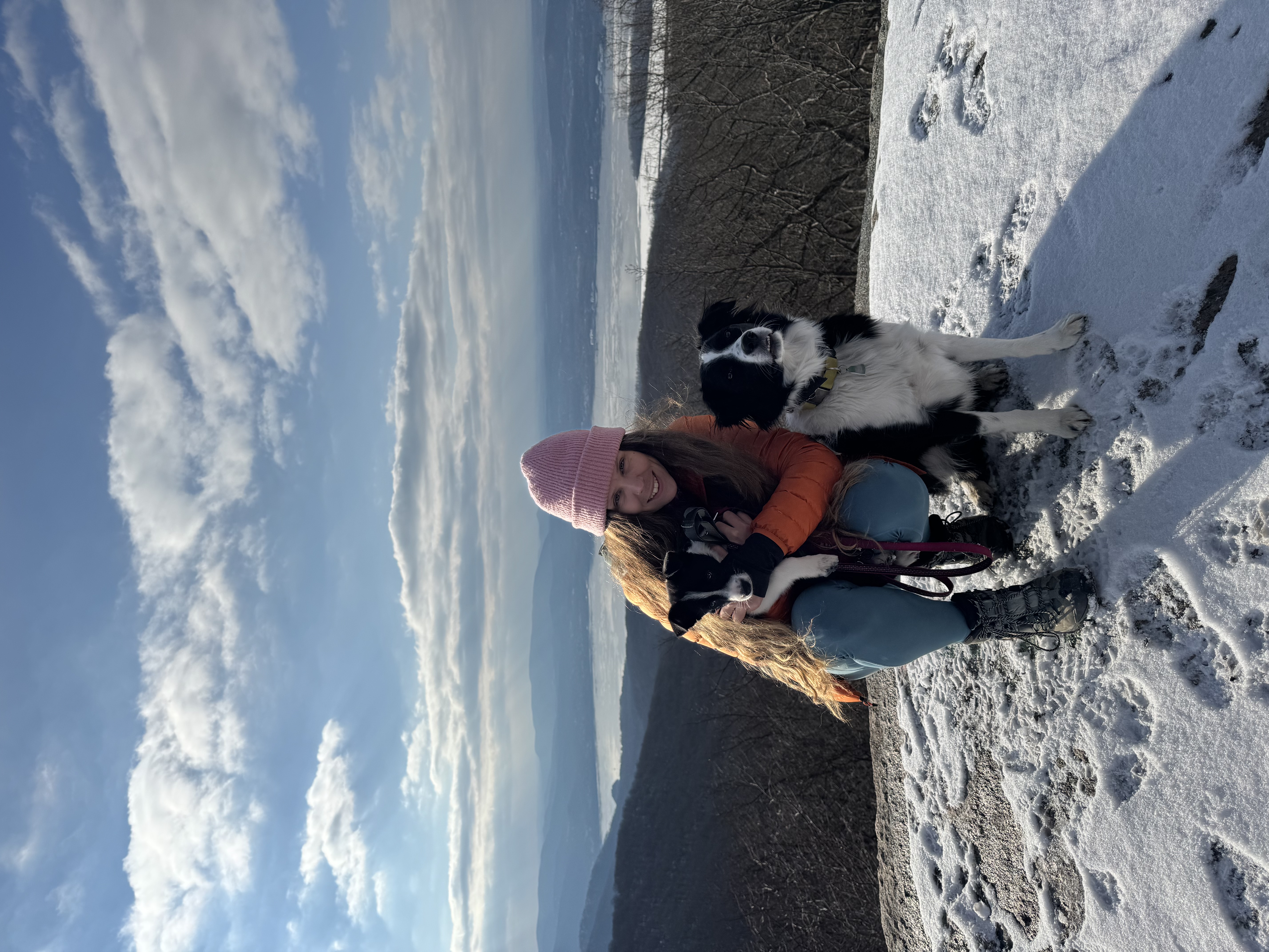 image-10