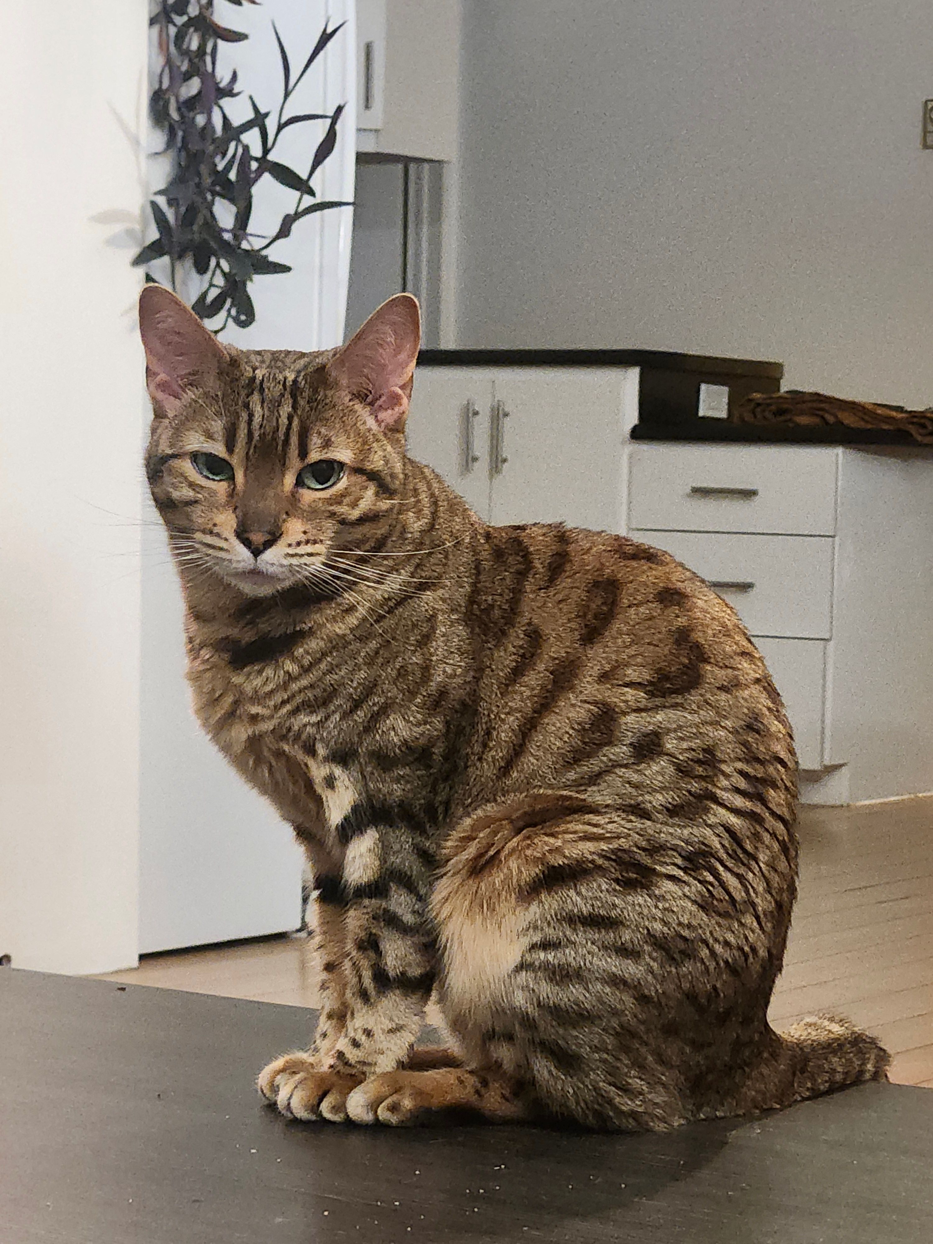 image-6