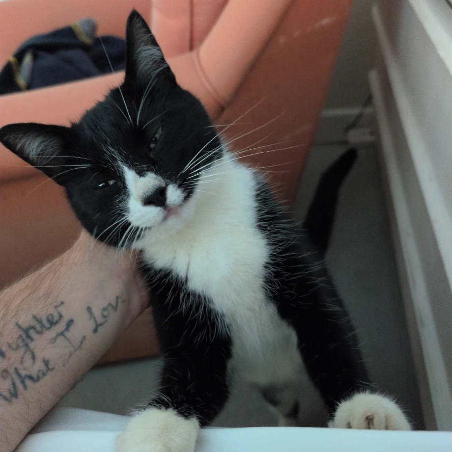 Tia 