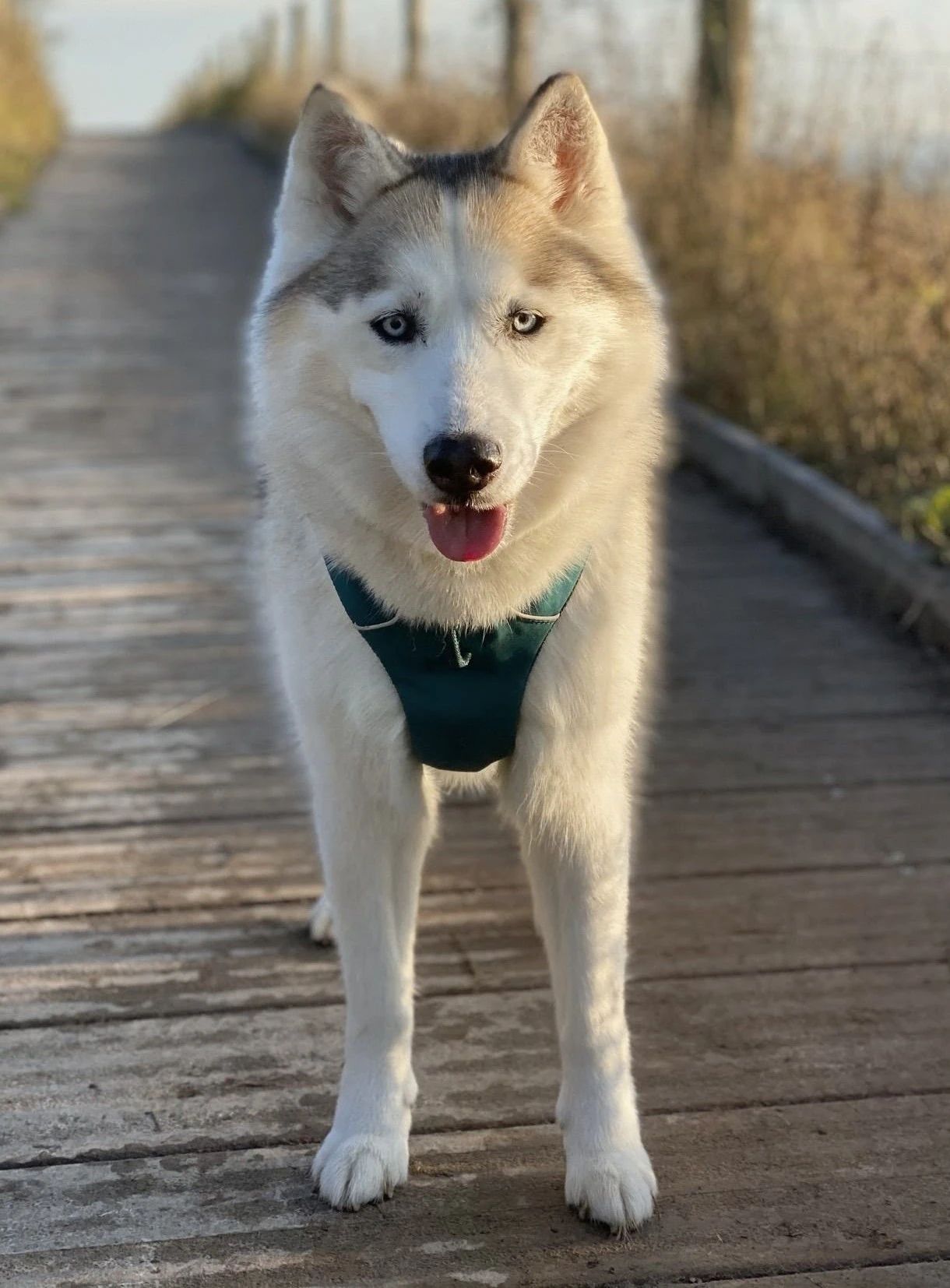 image-0