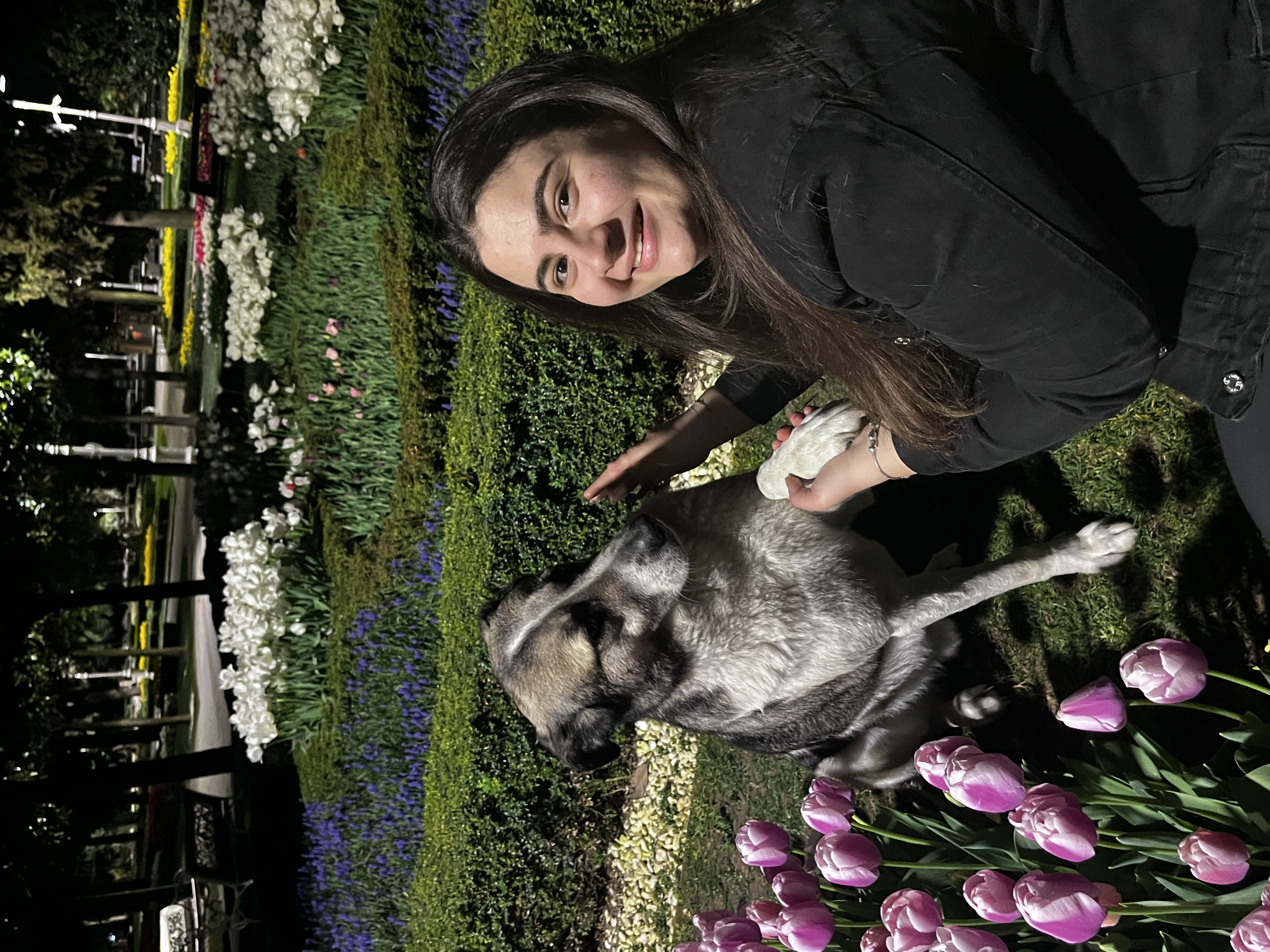 image-4