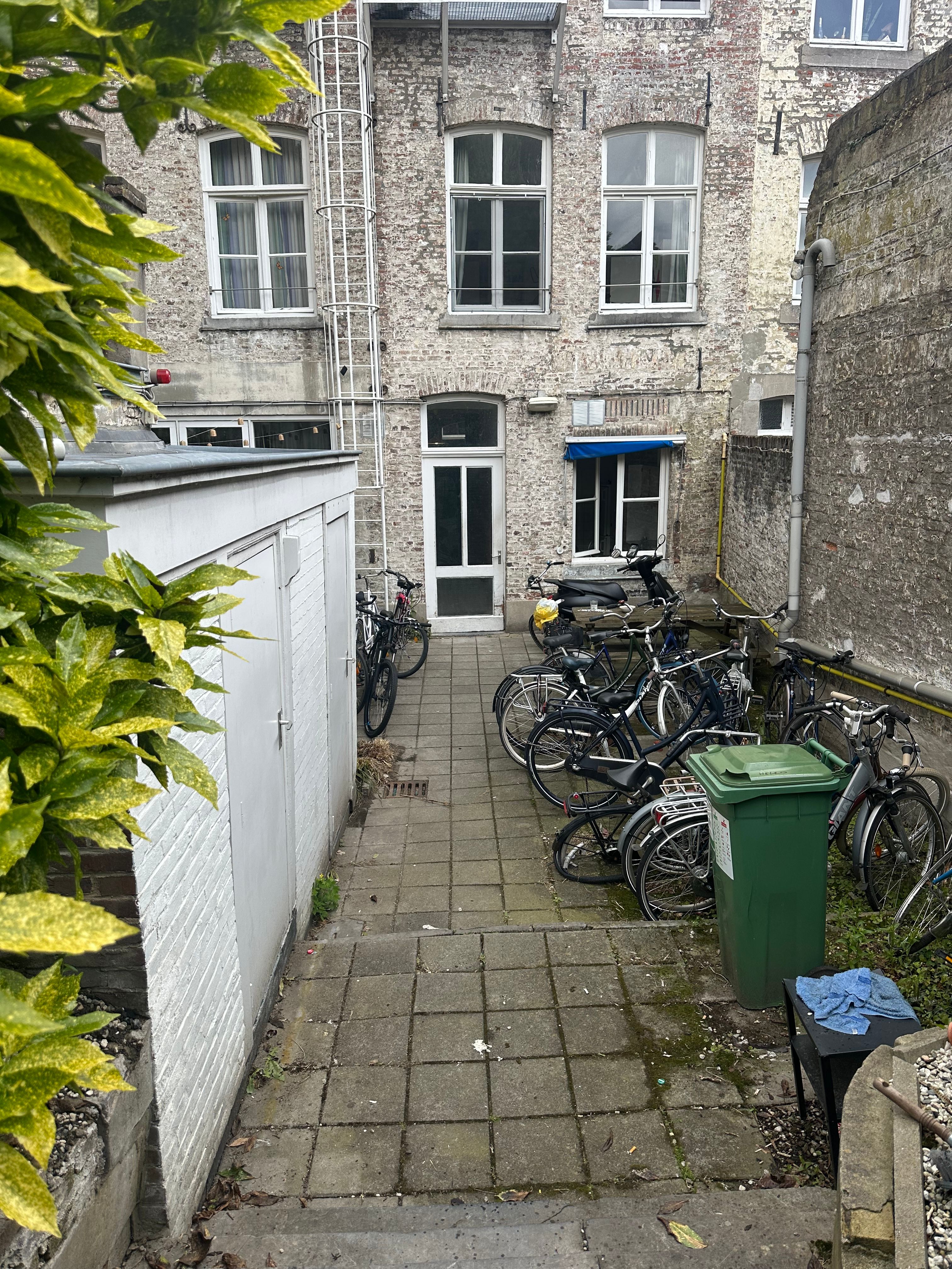 image-23