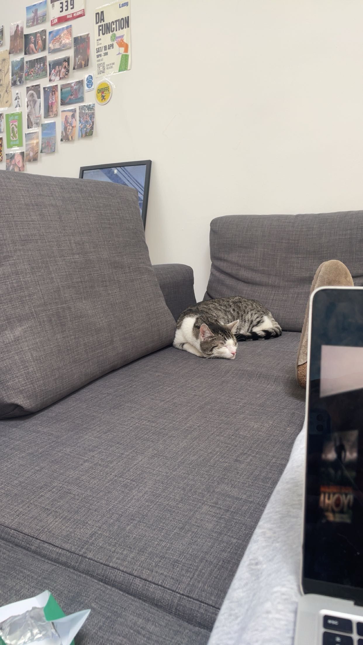 image-26