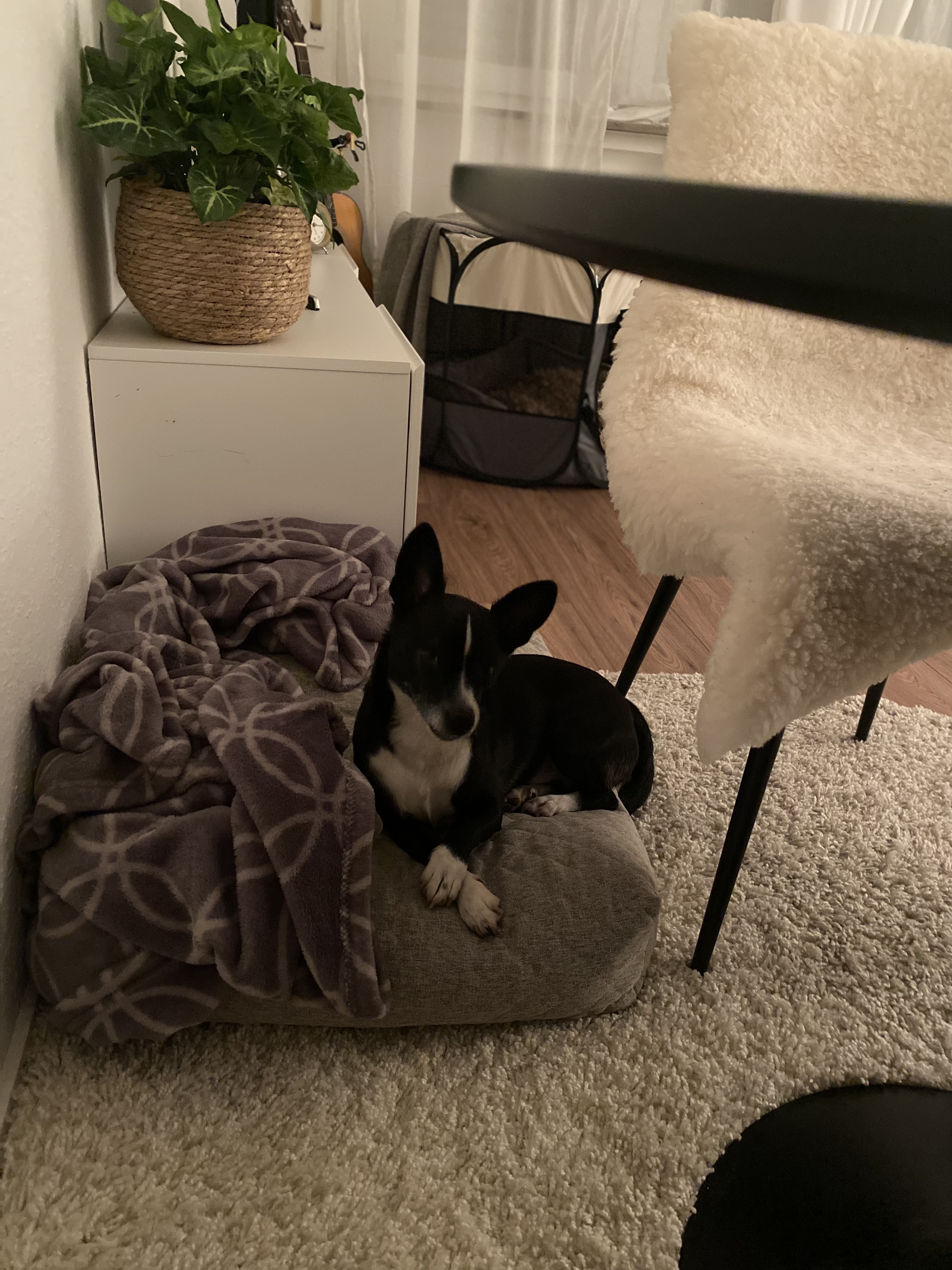 image-12