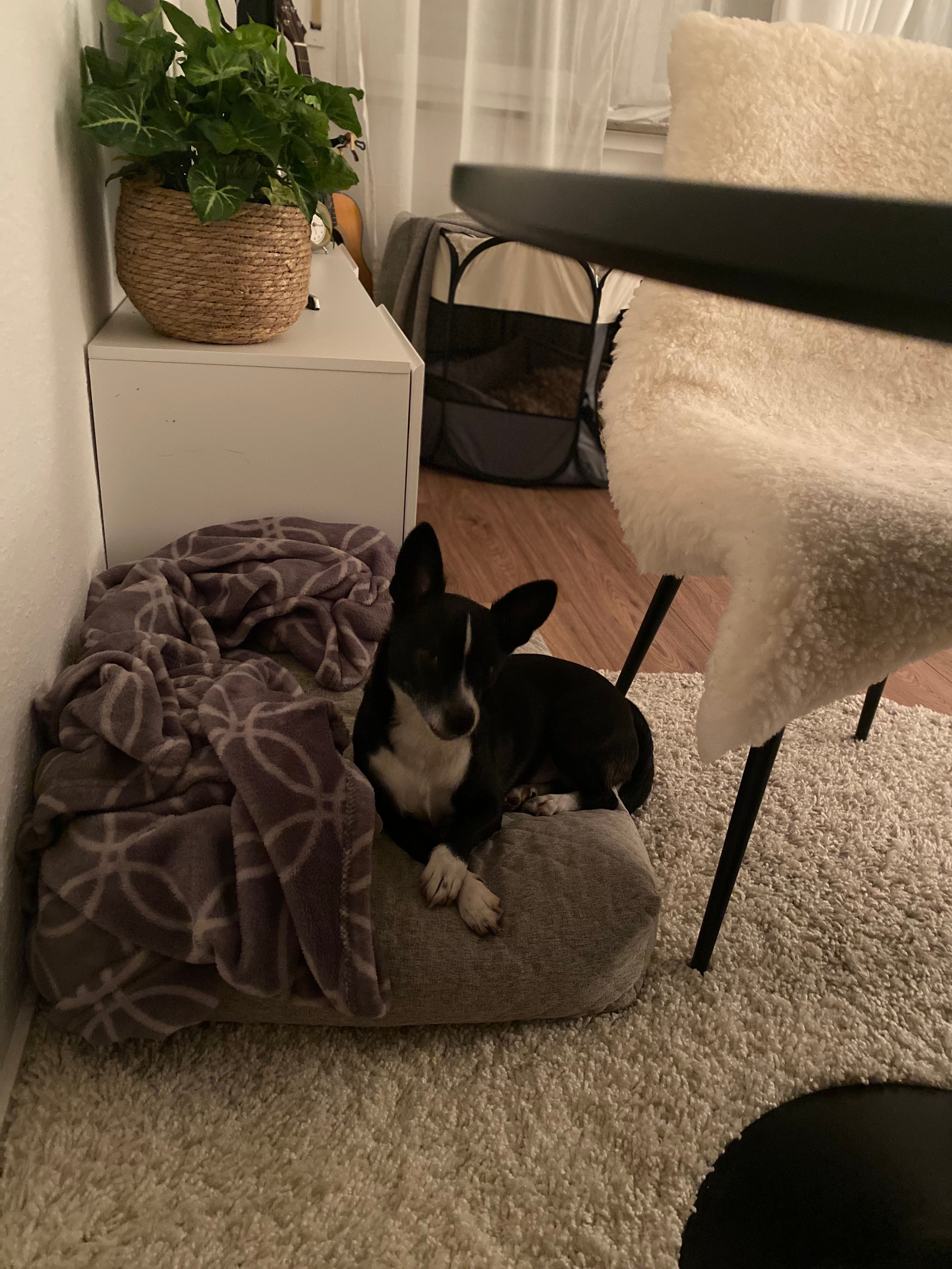 image-12