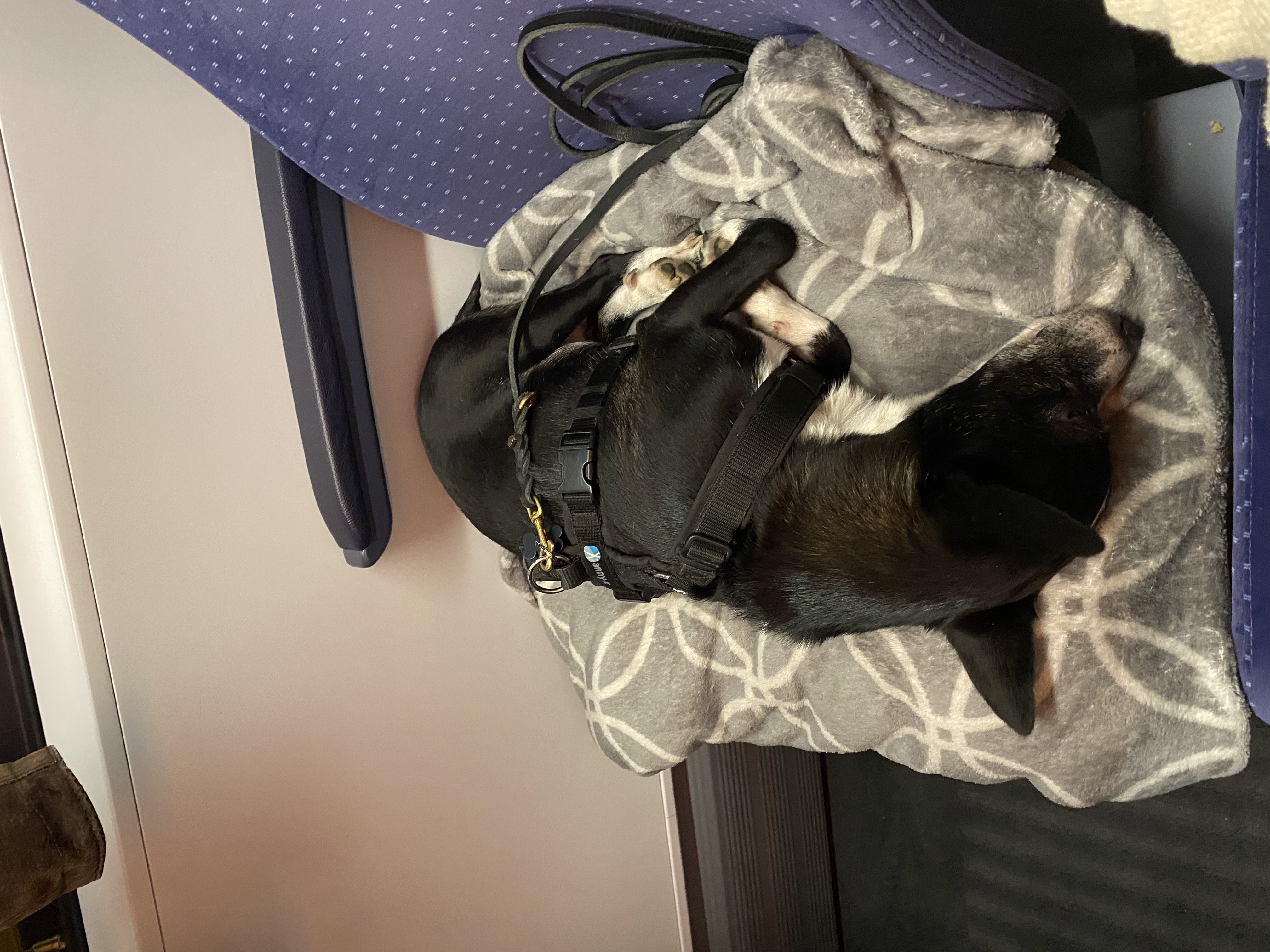 image-9