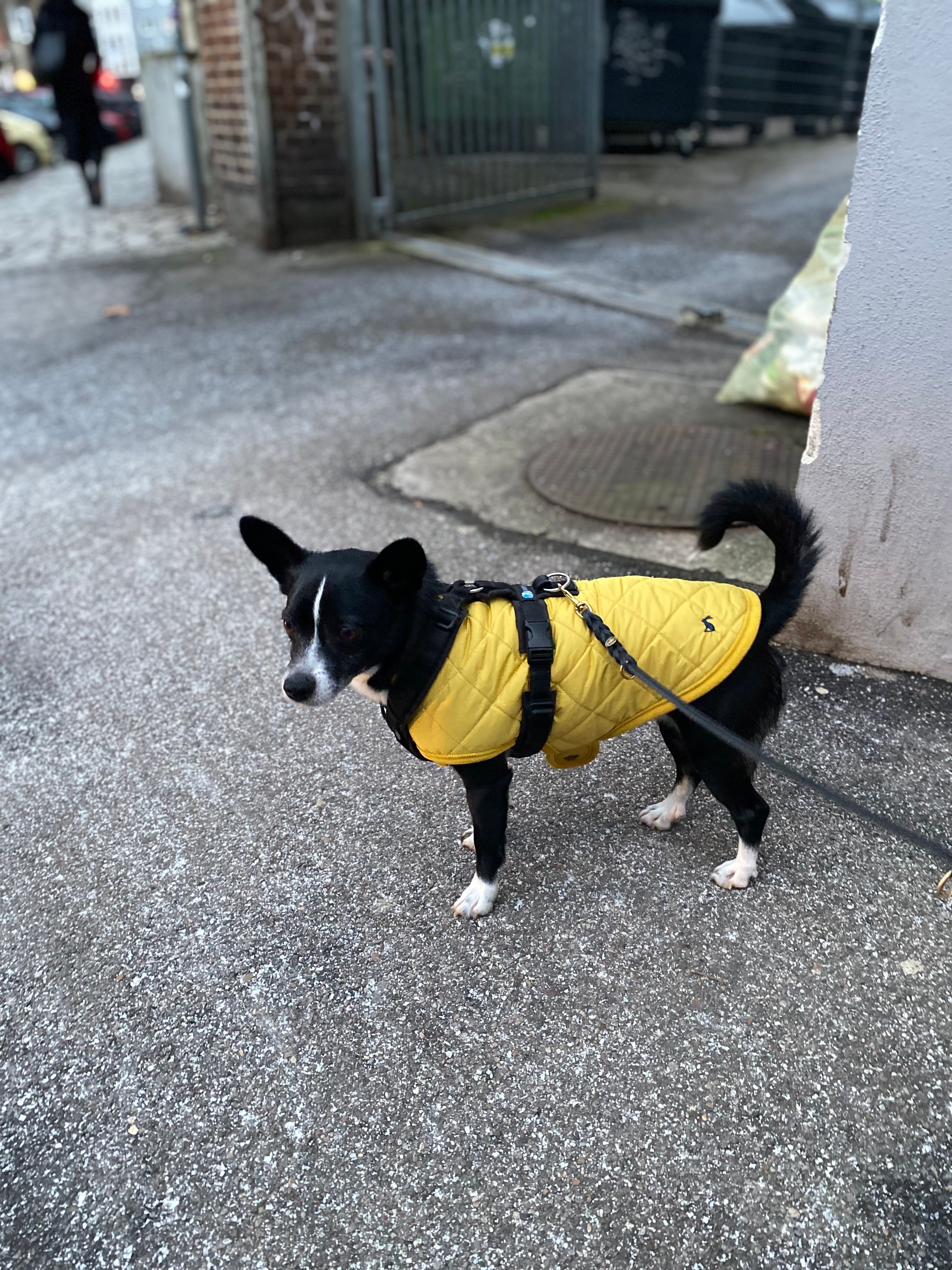 image-10
