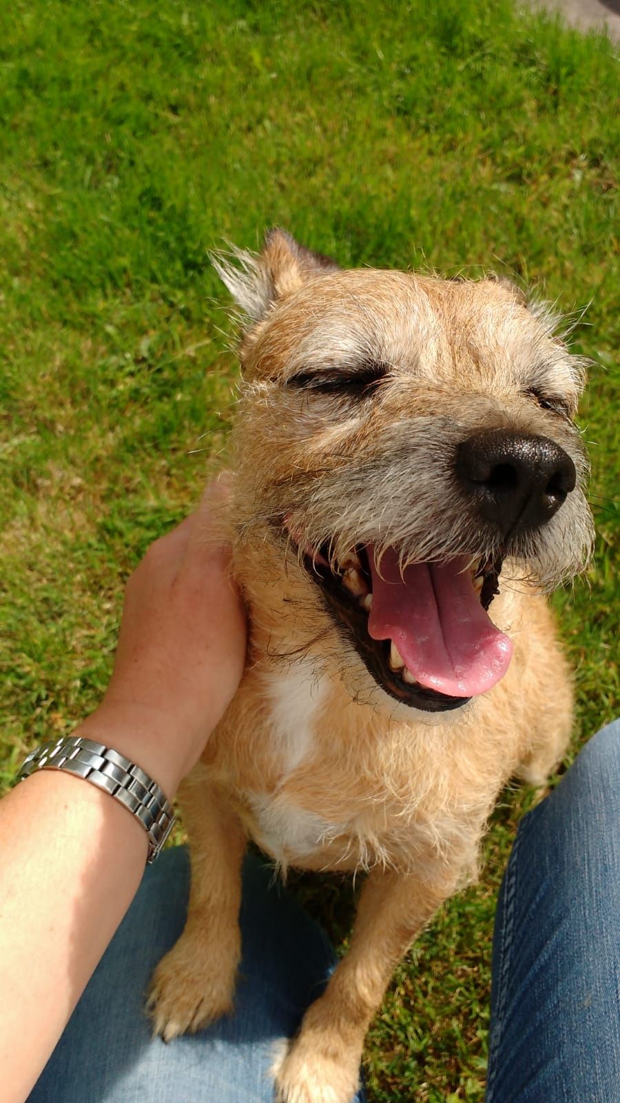 image-4