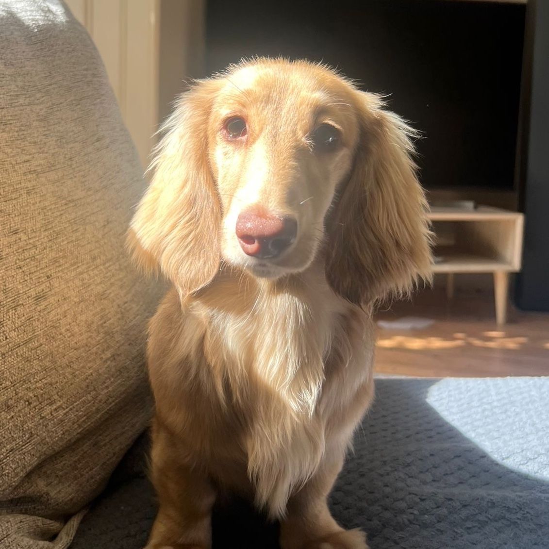 Remi