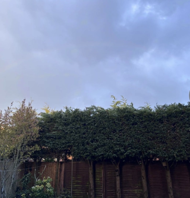 image-5