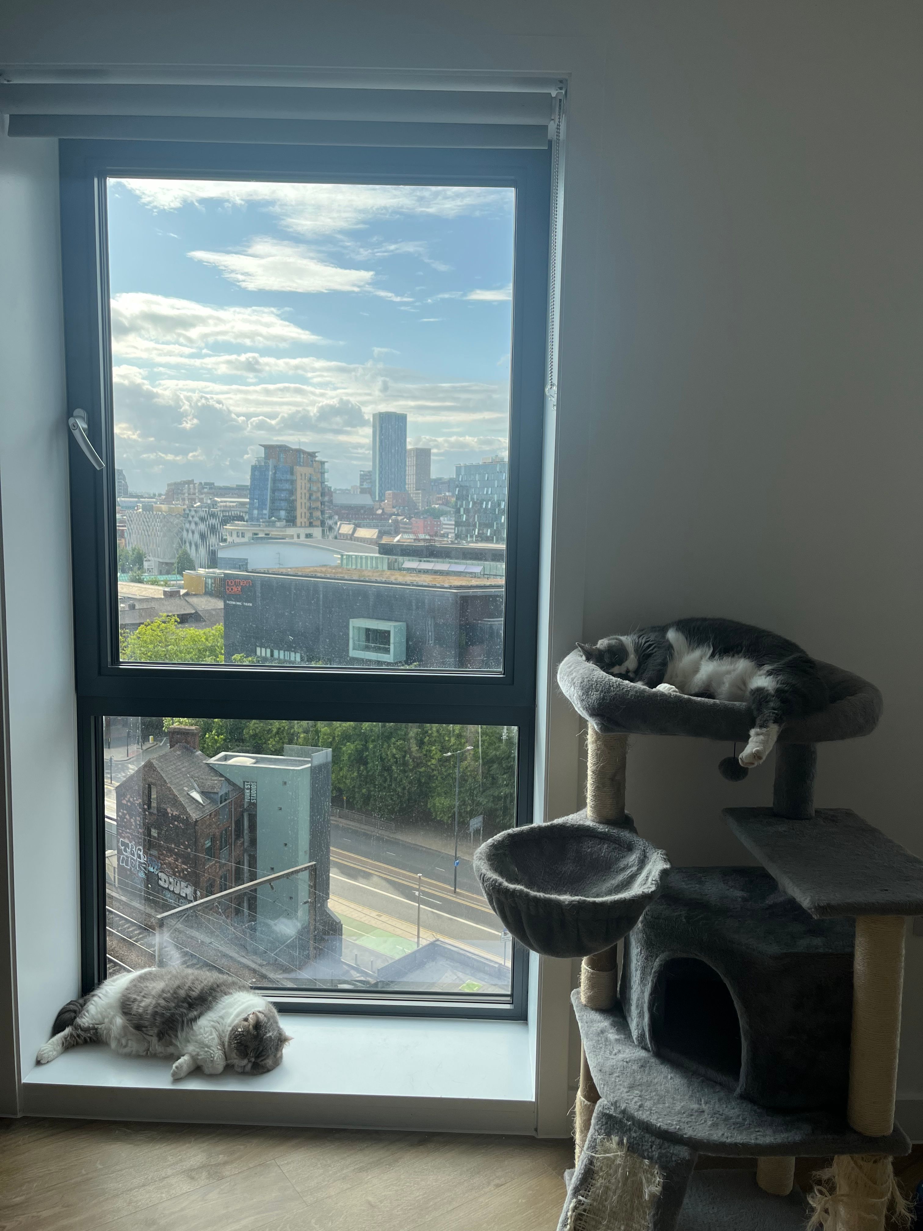 image-12