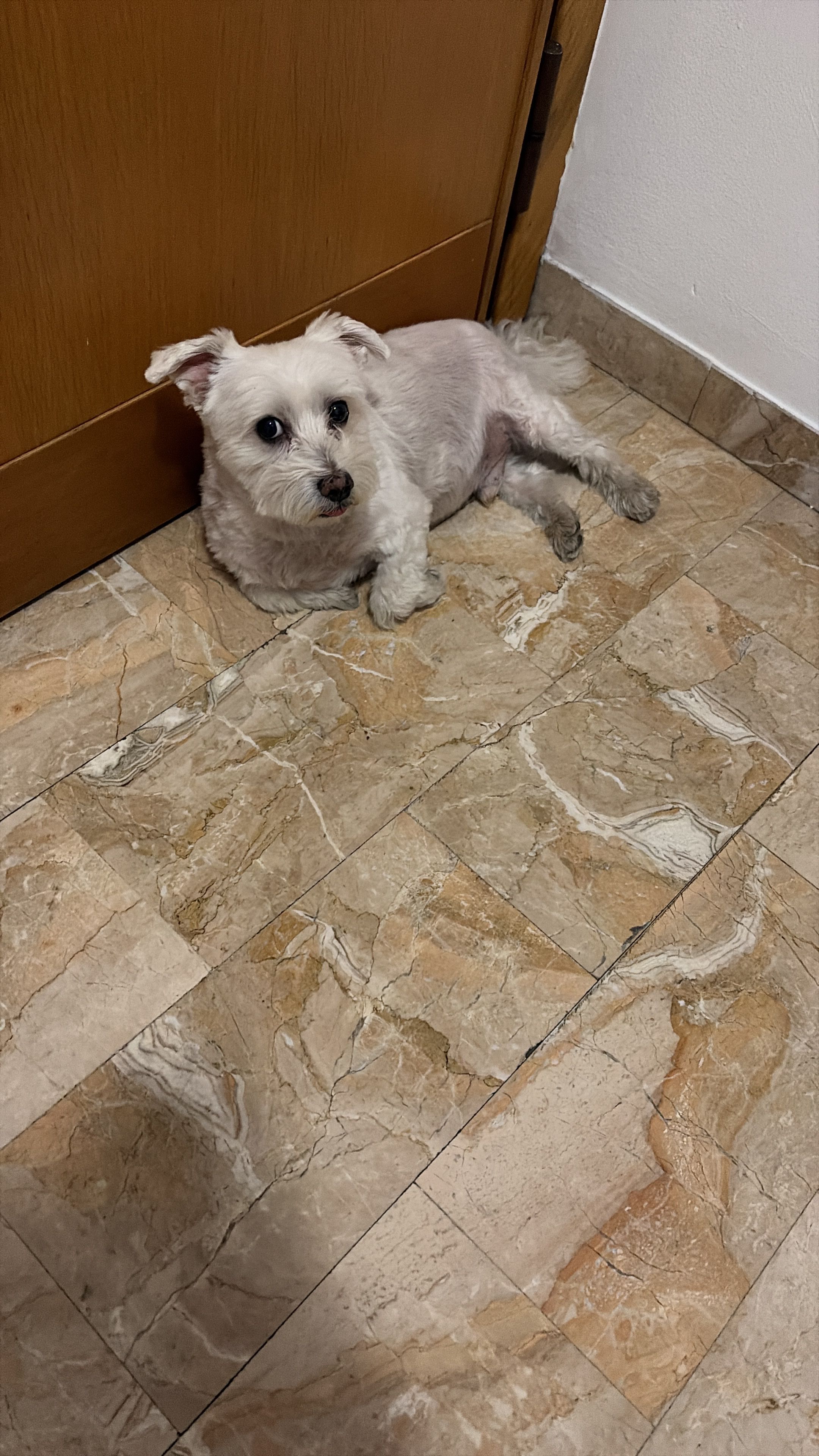 image-20