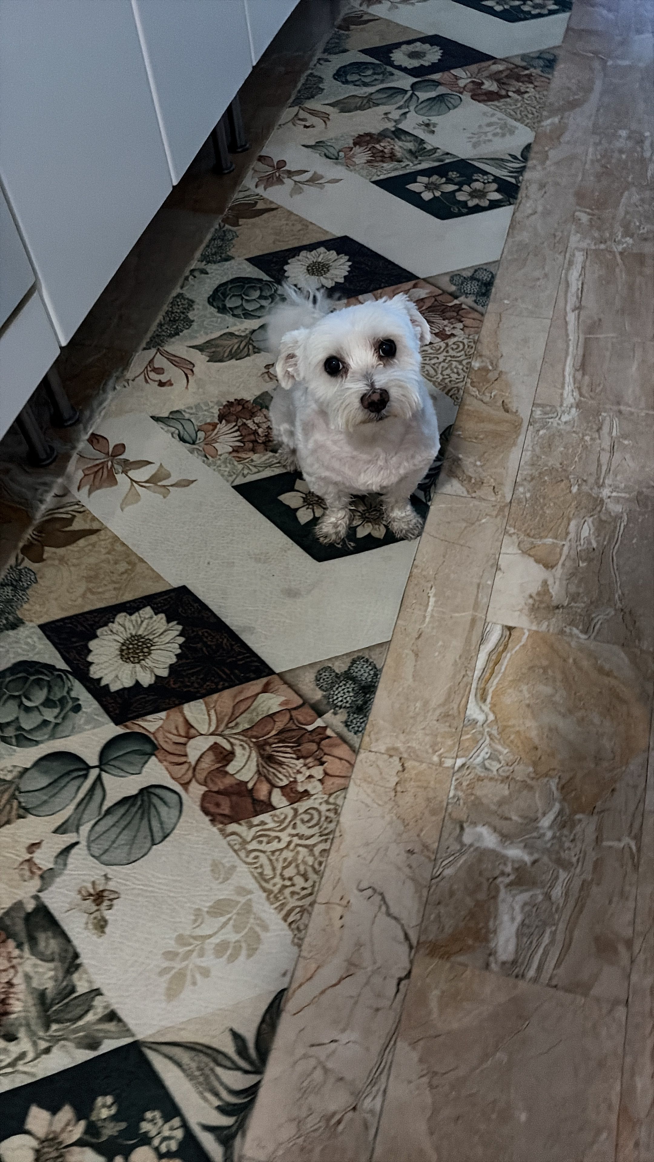 image-17