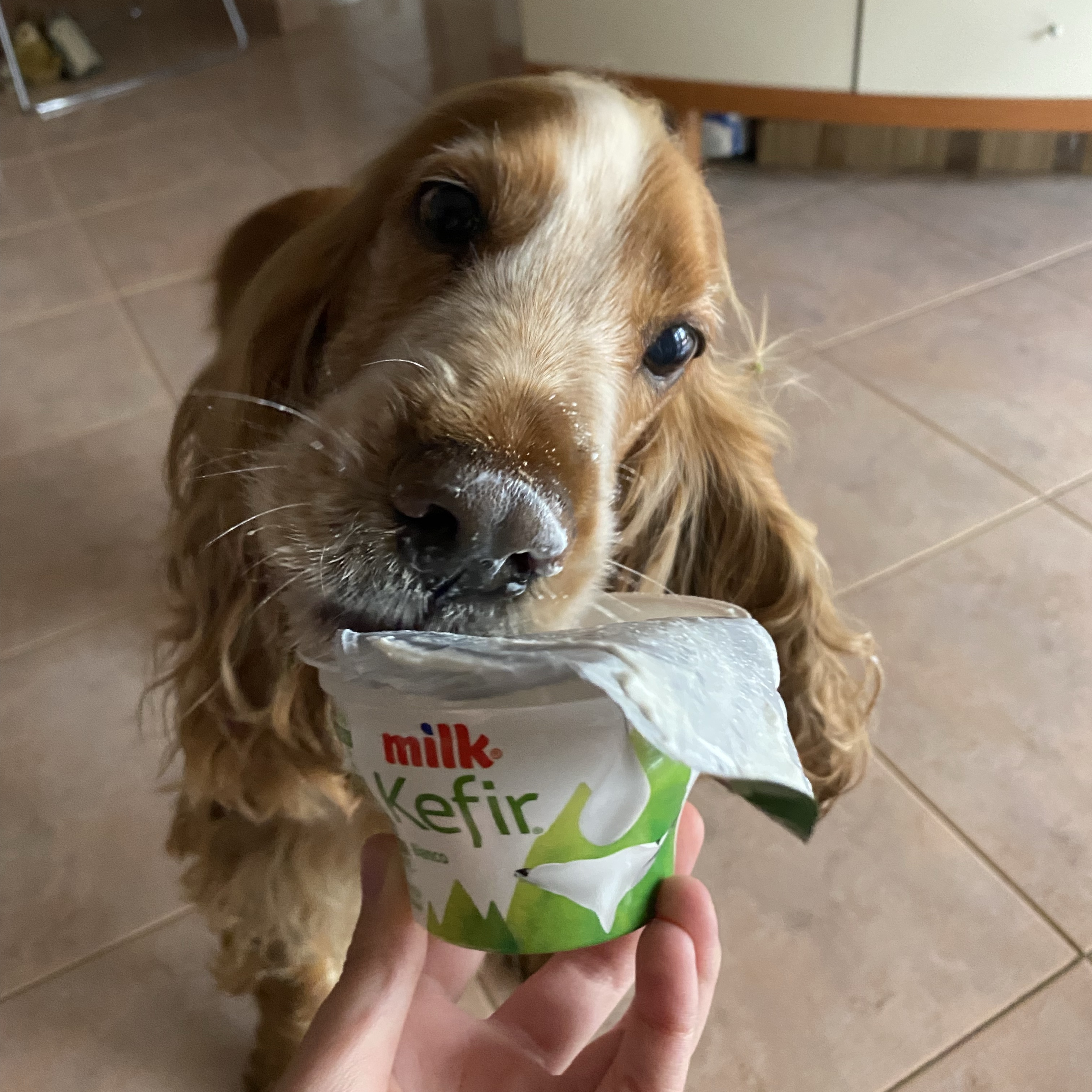 Artù
