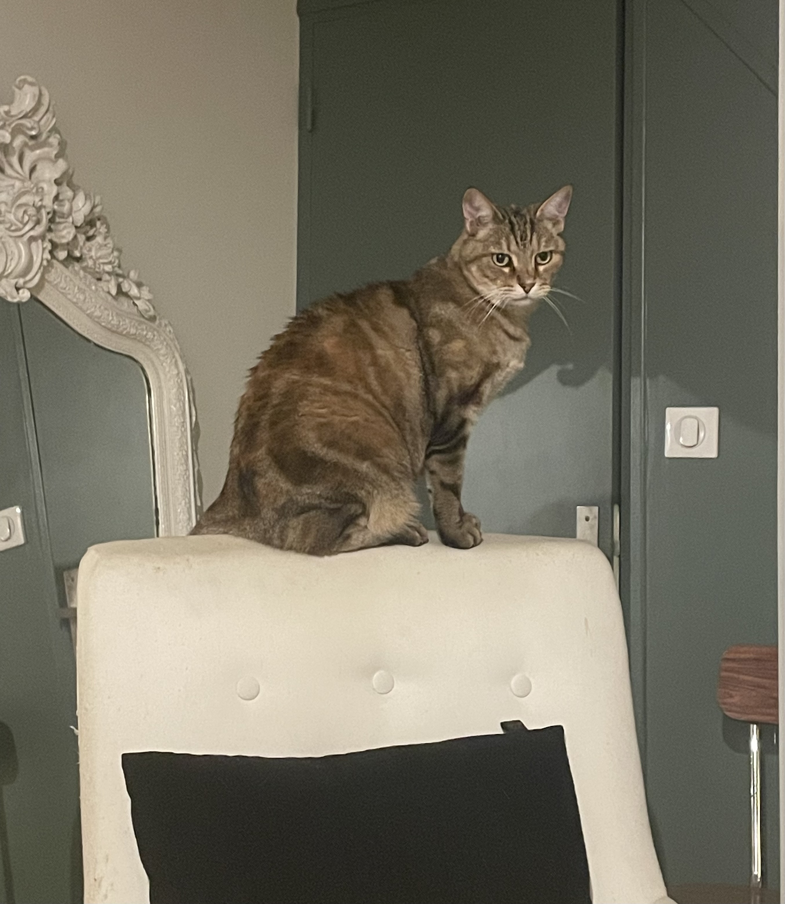 image-6