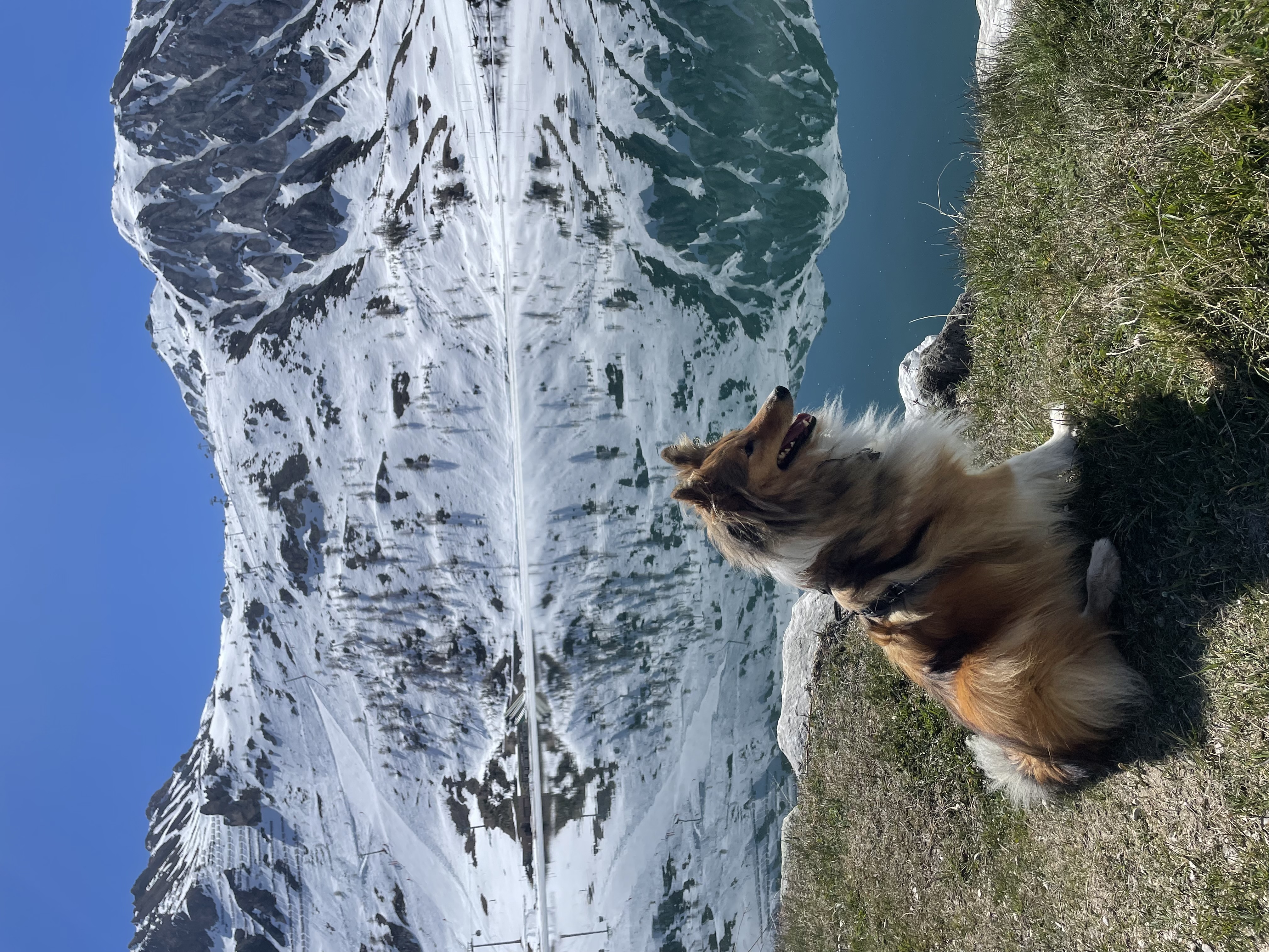 image-9