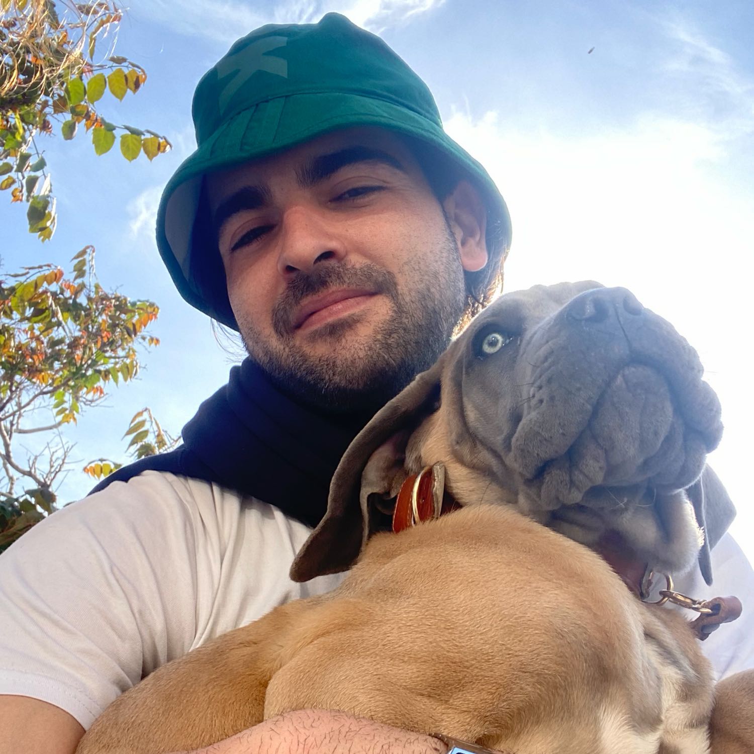 Pierpaolo