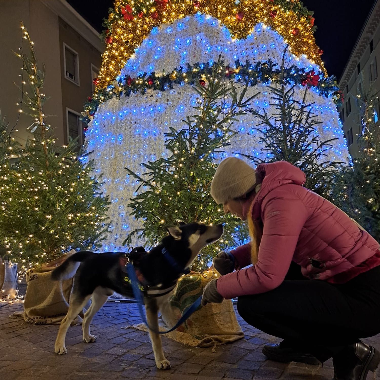 image-7