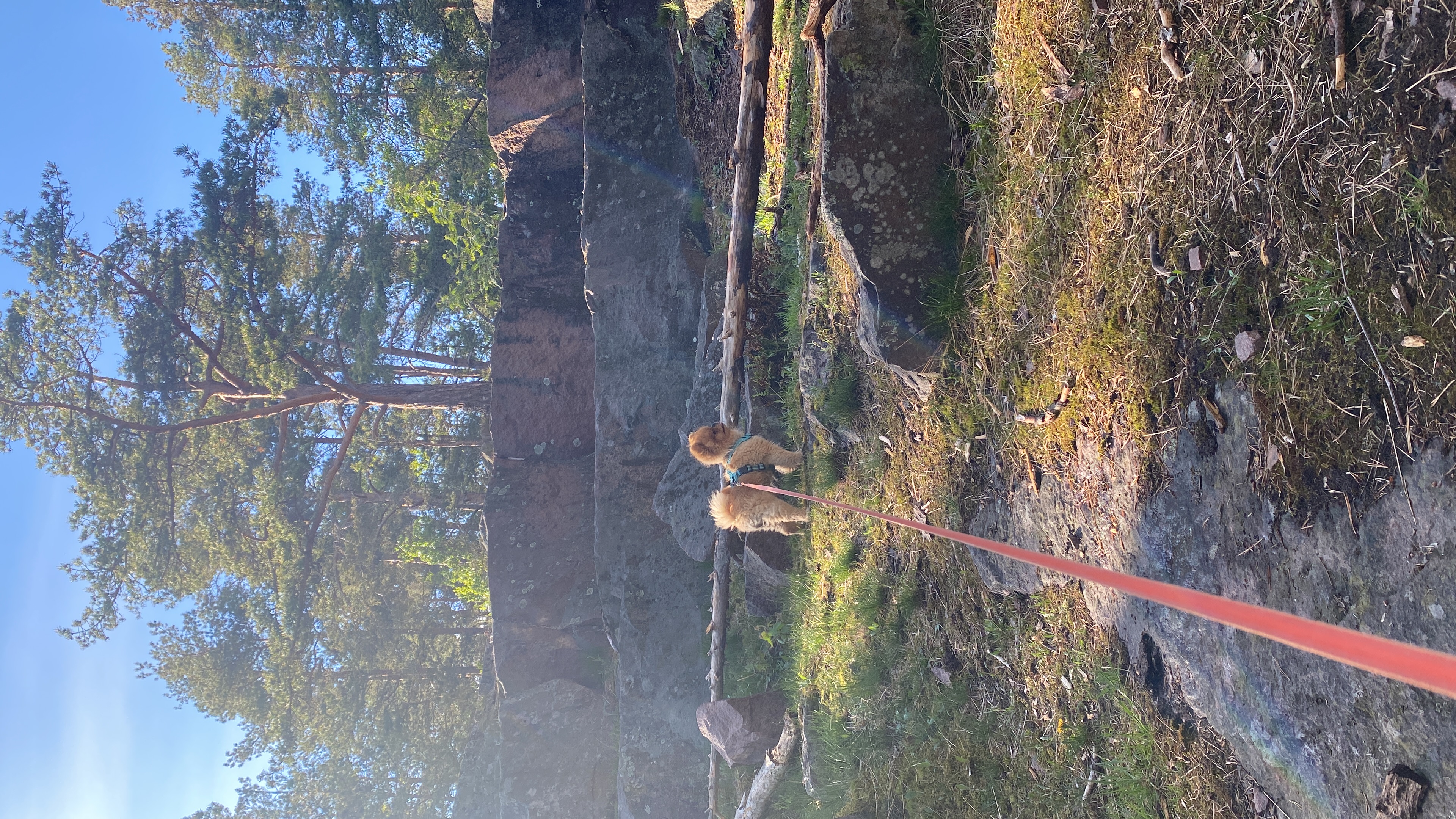 image-4