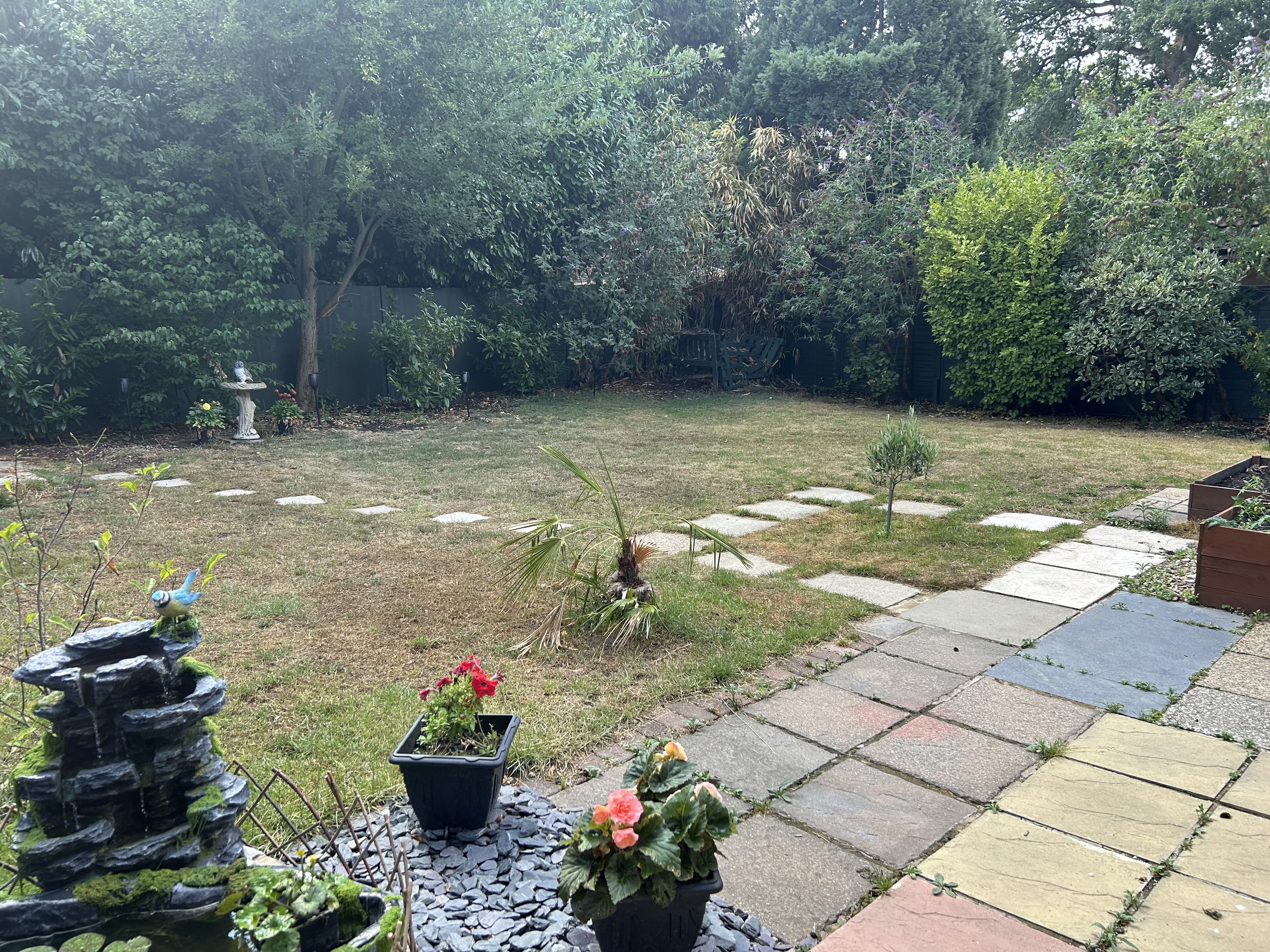 image-8