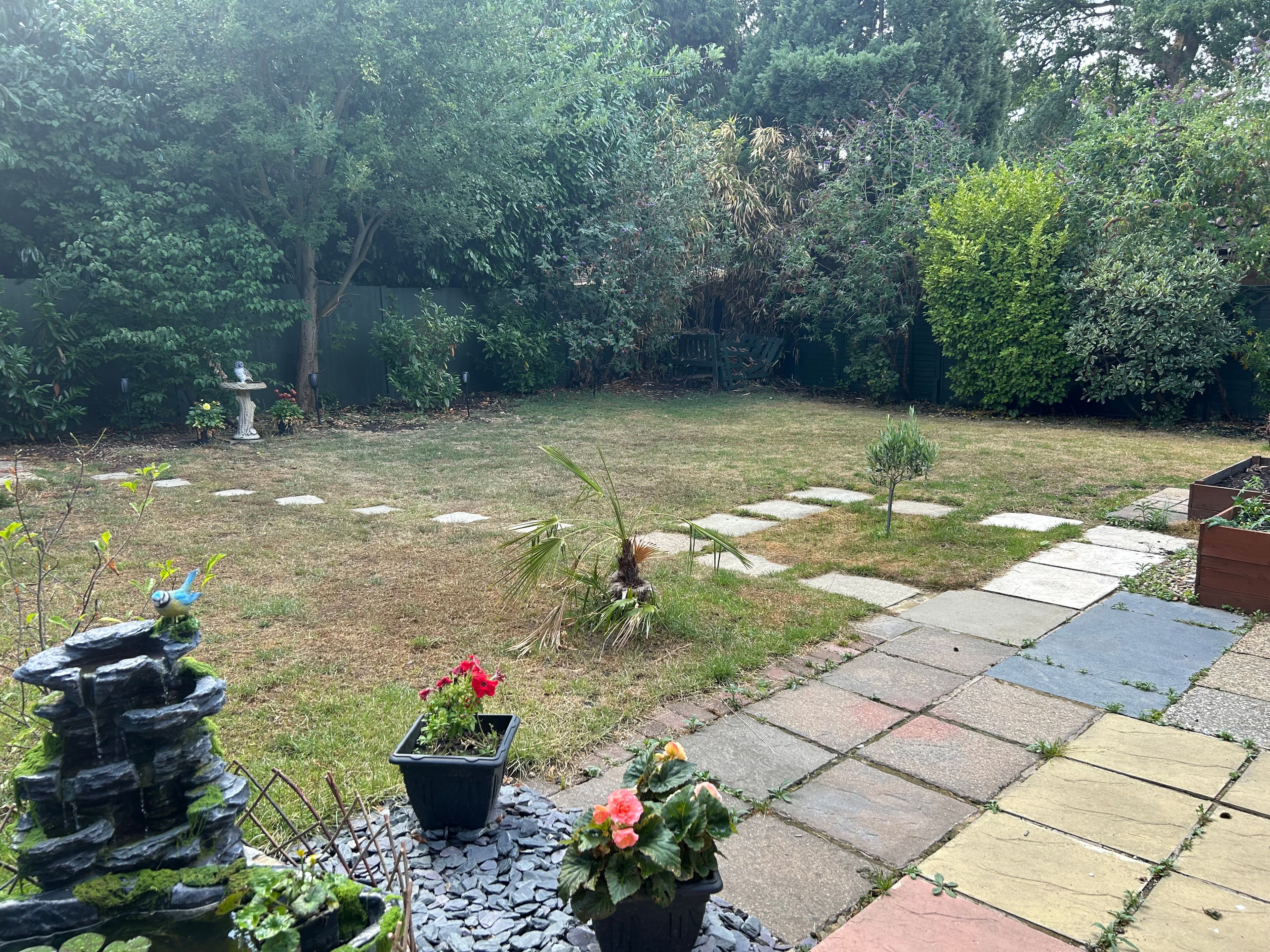 image-8