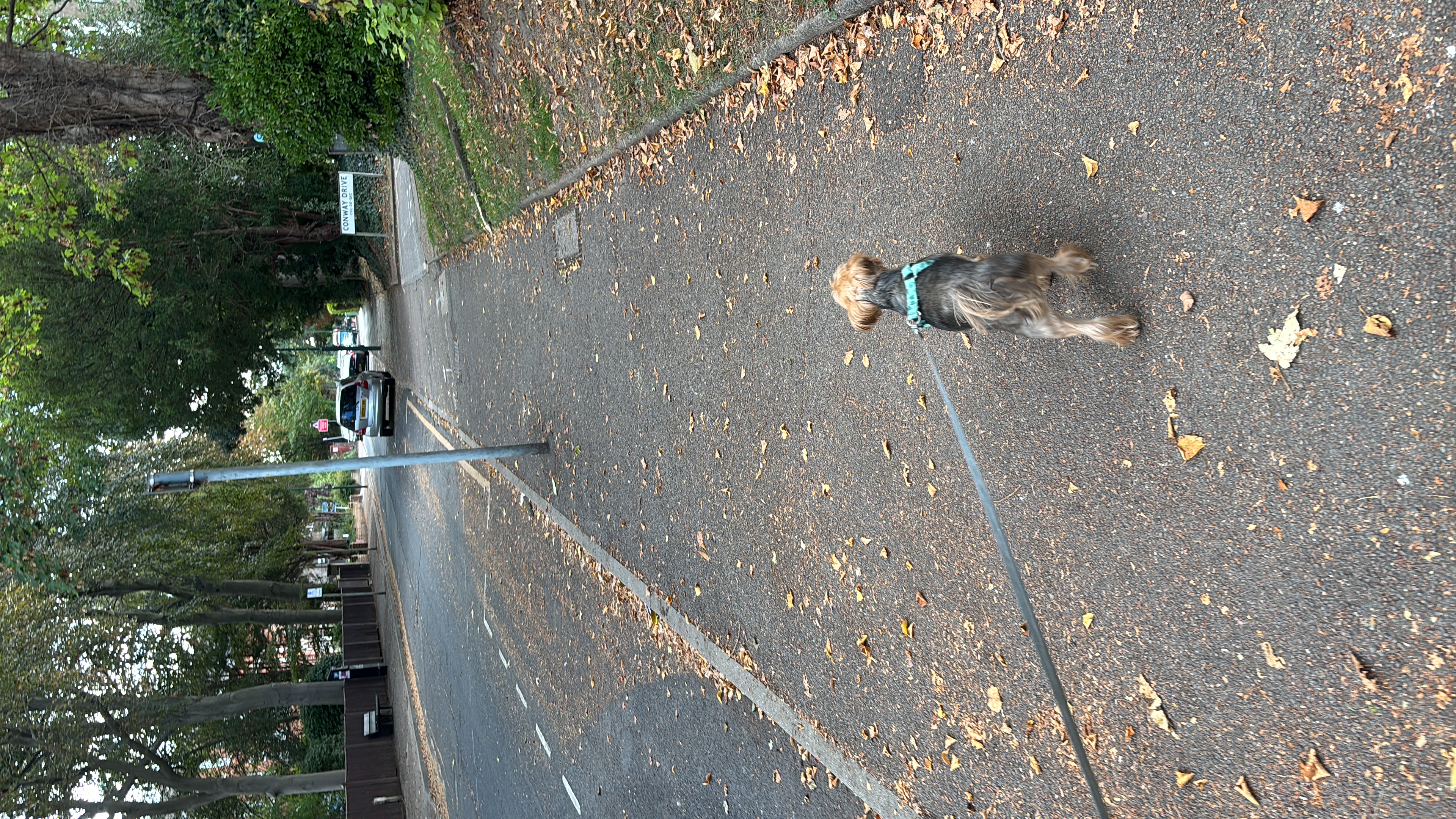 image-8