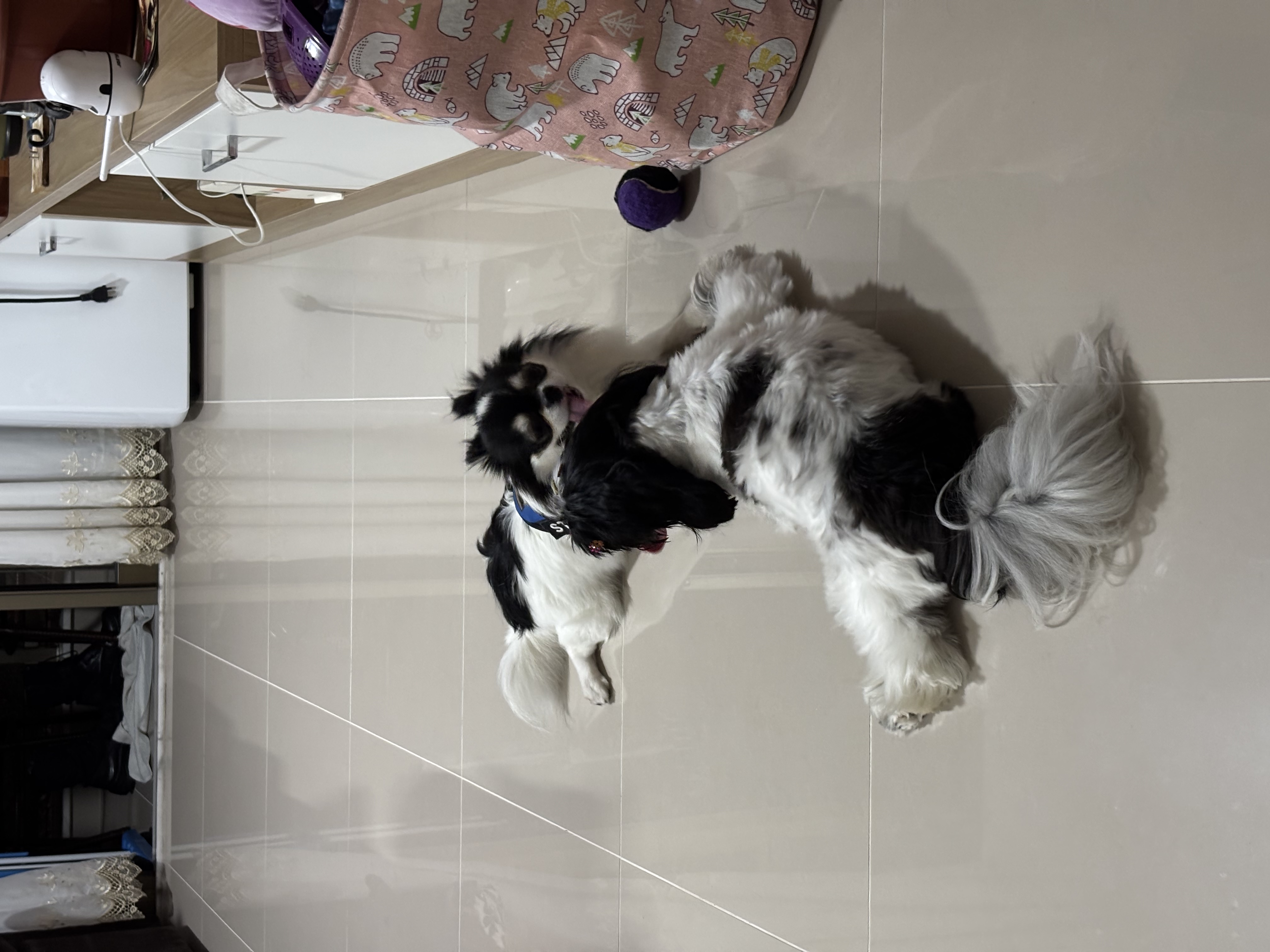 image-6