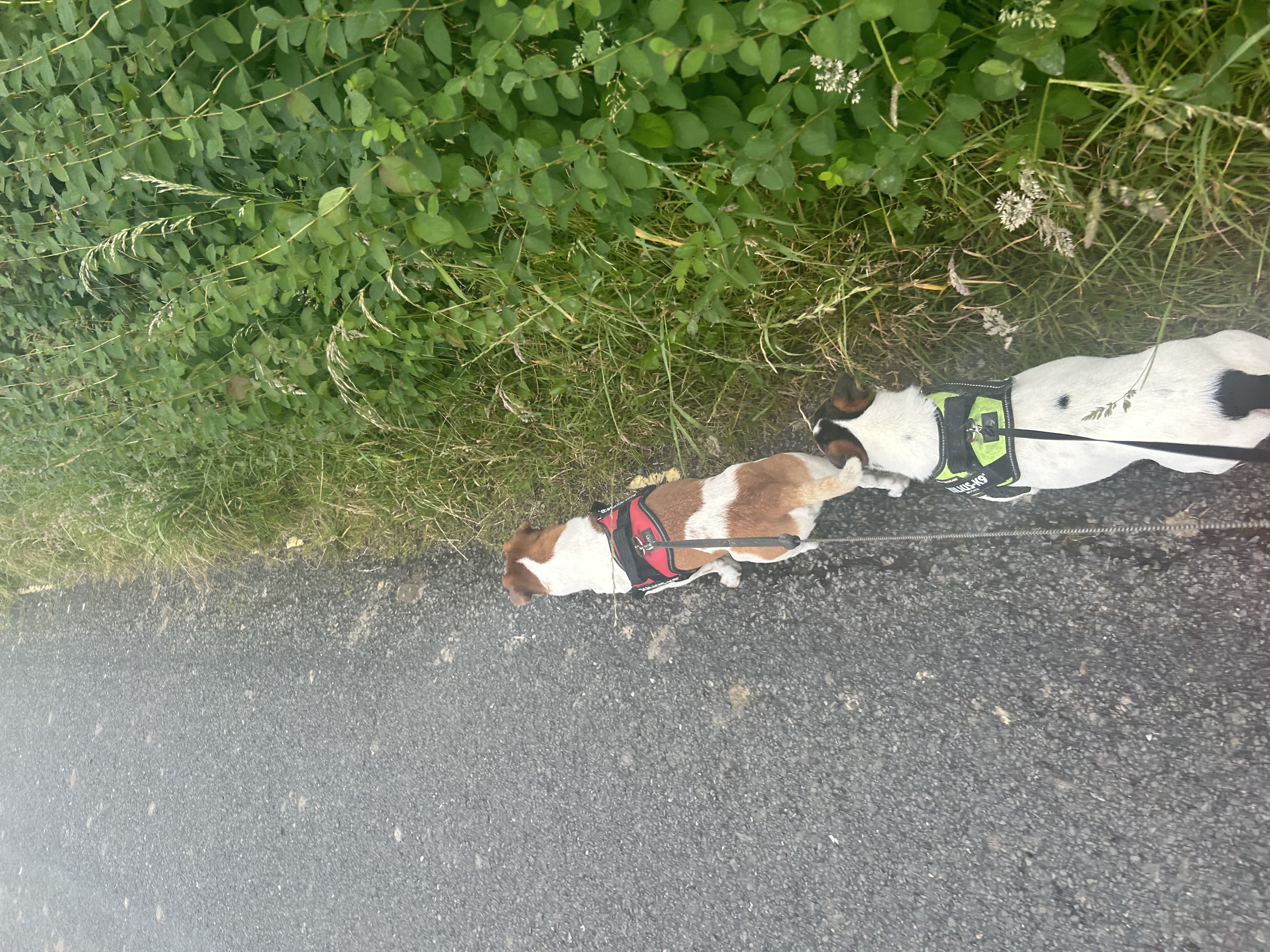 image-5