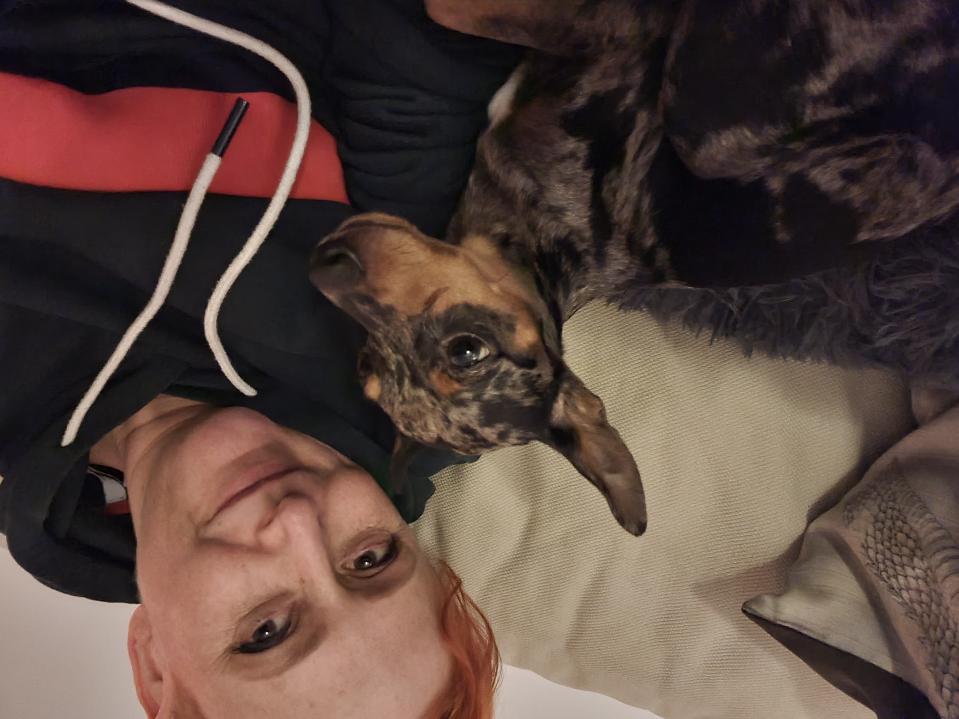 image-6